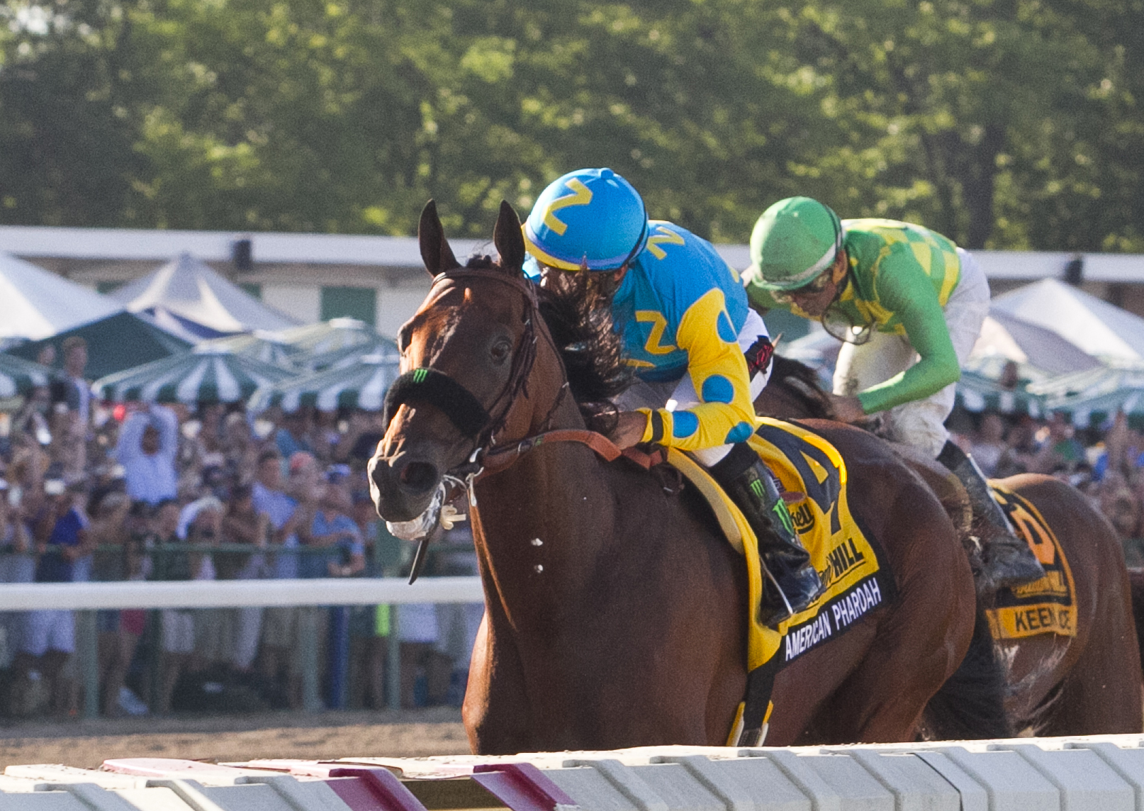 American Pharoah wins the Haskell