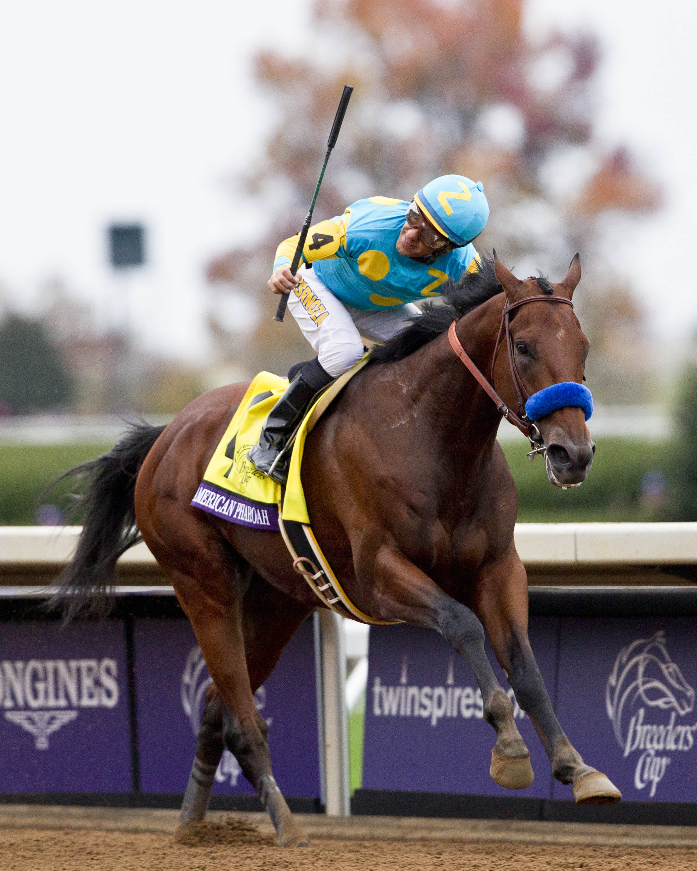 American Pharoah 10-31-2015