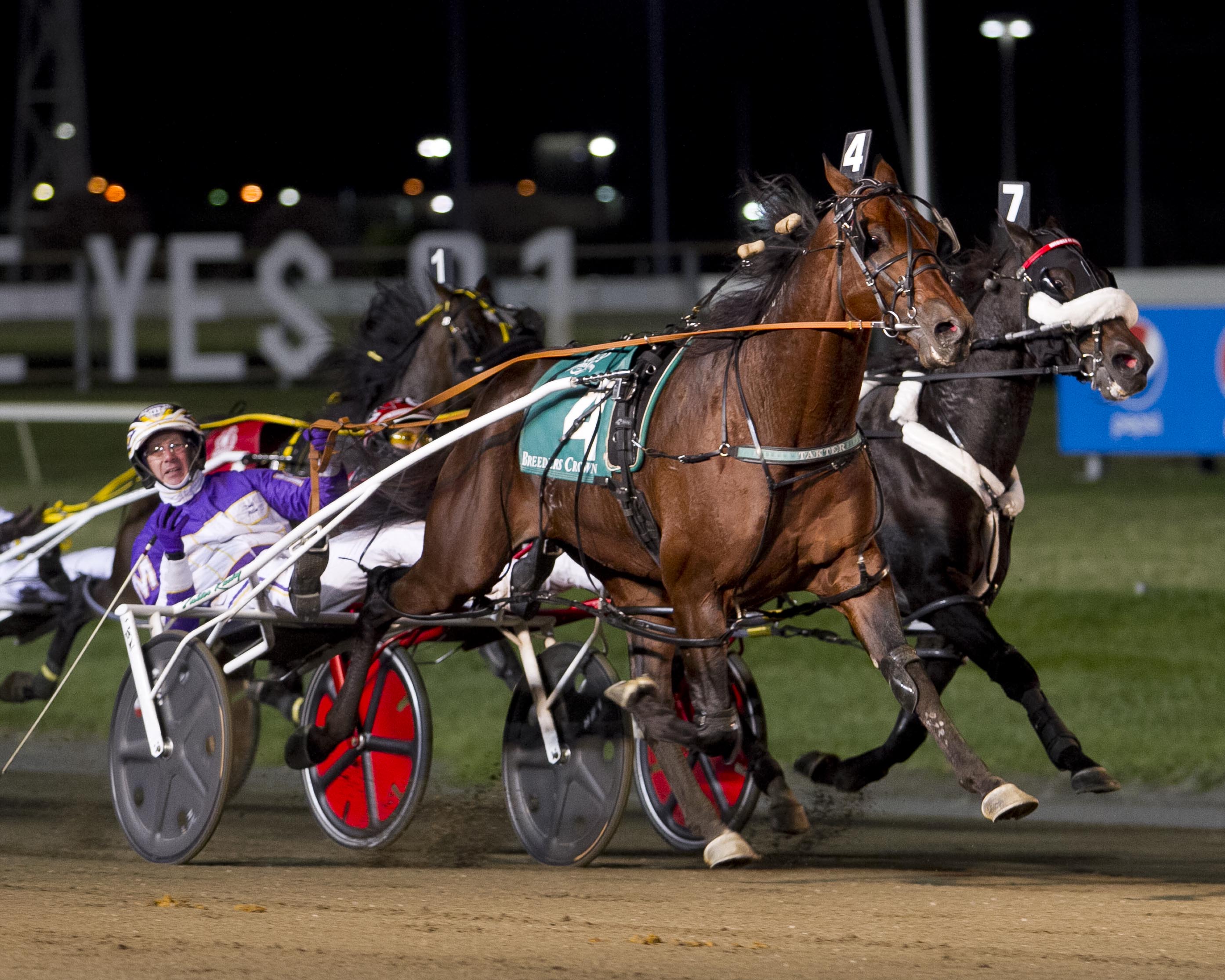 Always B Miki_Breeders Crown