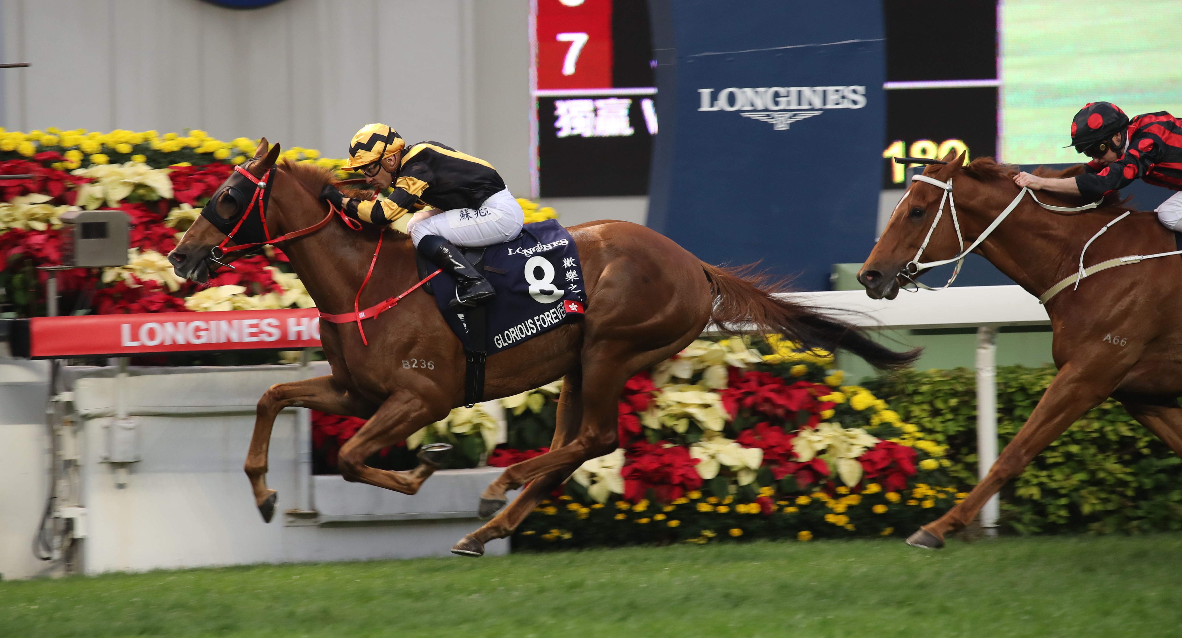 Glorious Forever wins 2018 Hong Kong Cup