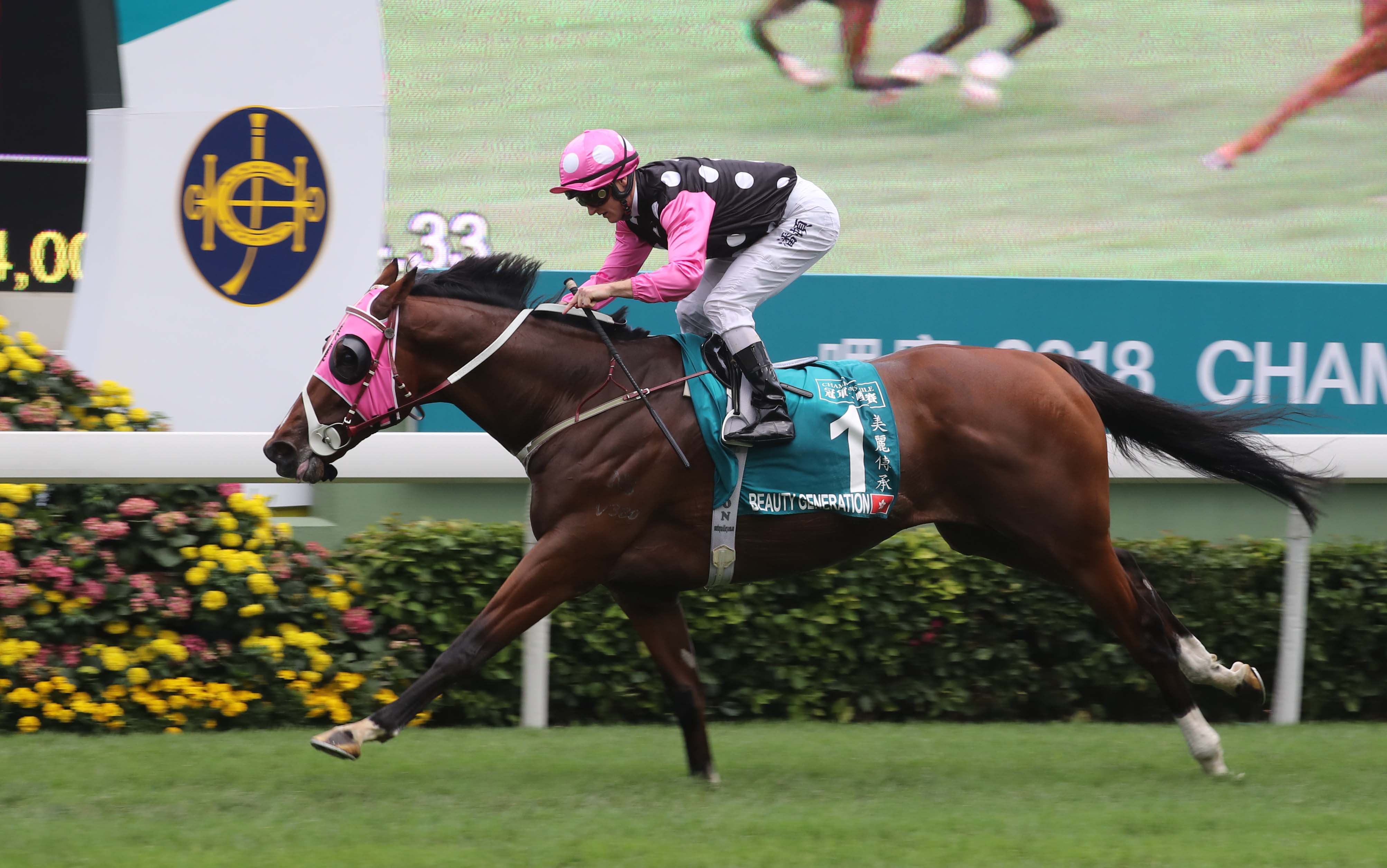 Beauty Generation wins 2018 Champions Mile