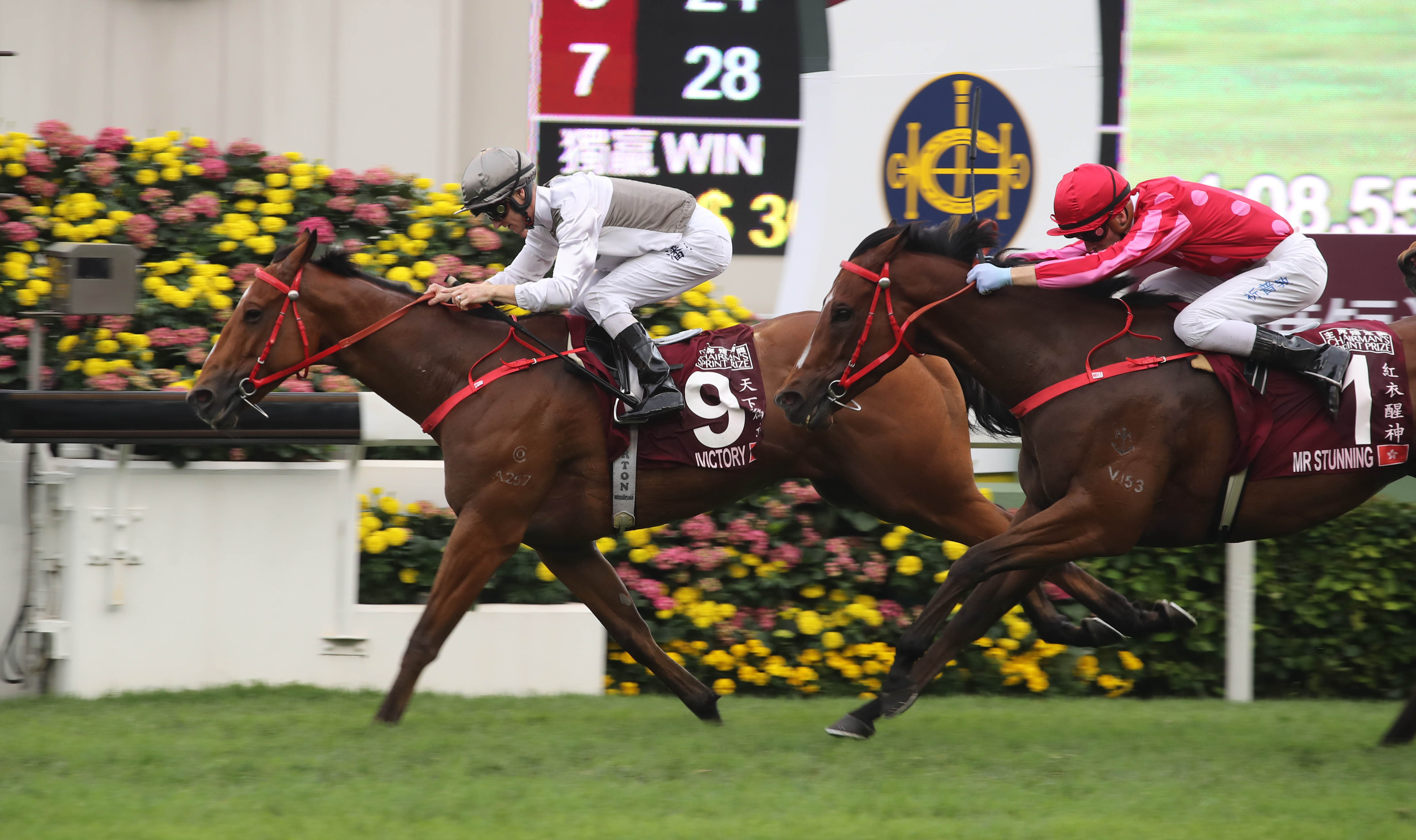 Ivictory wins 2018 Chairman's Sprint
