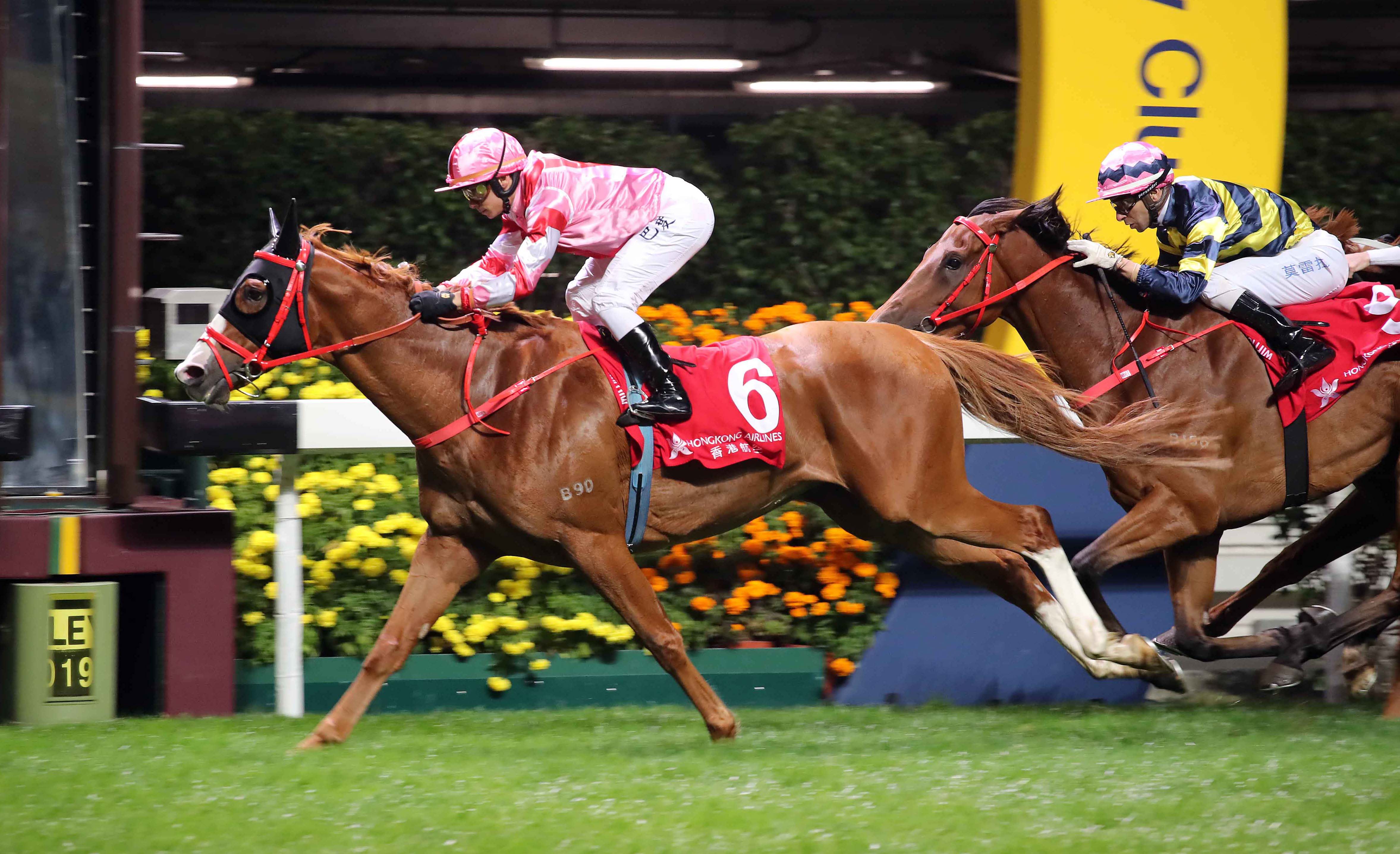 Simply Brilliant wins the 2019 January Cup