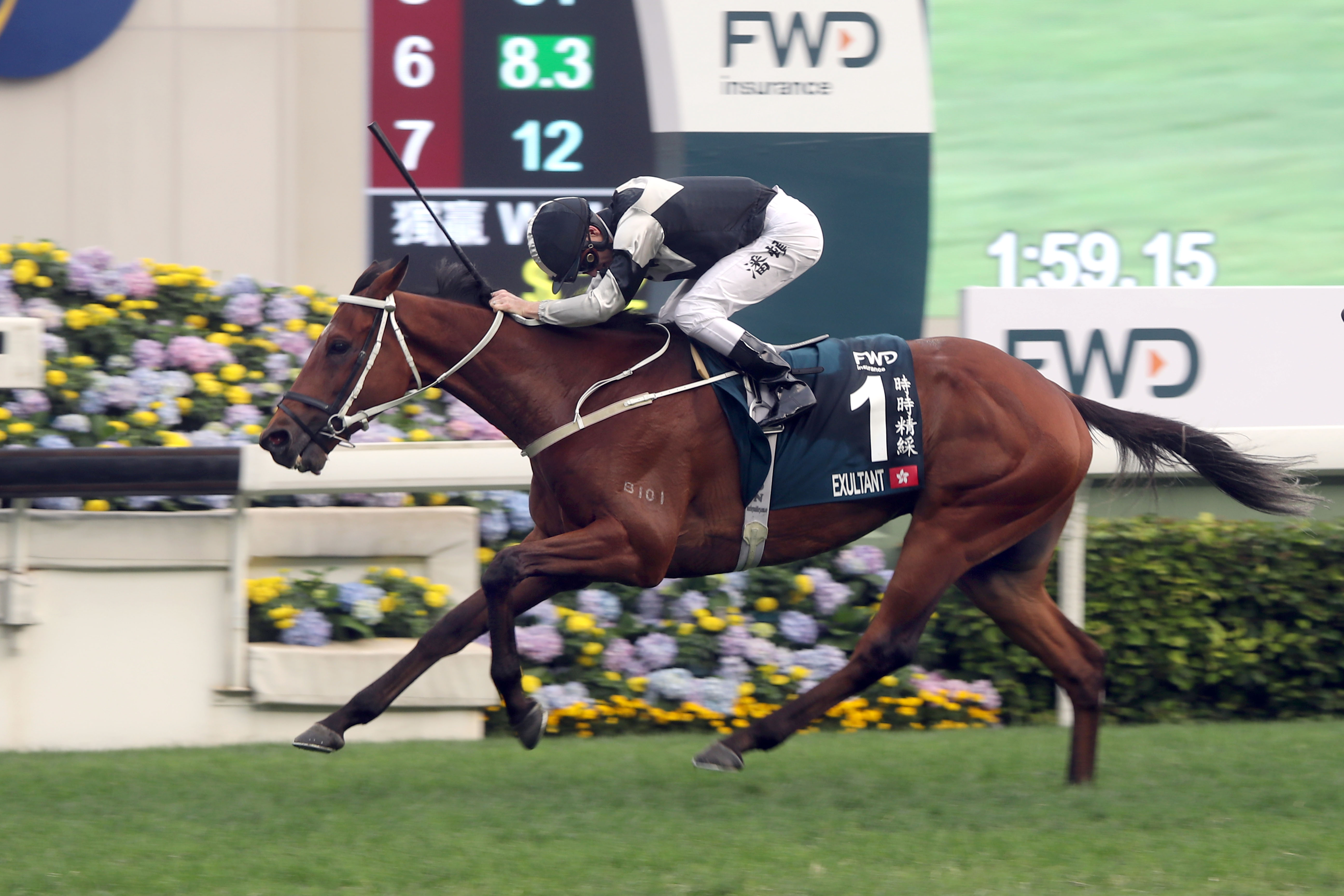 Exultant/Sha Tin QE II