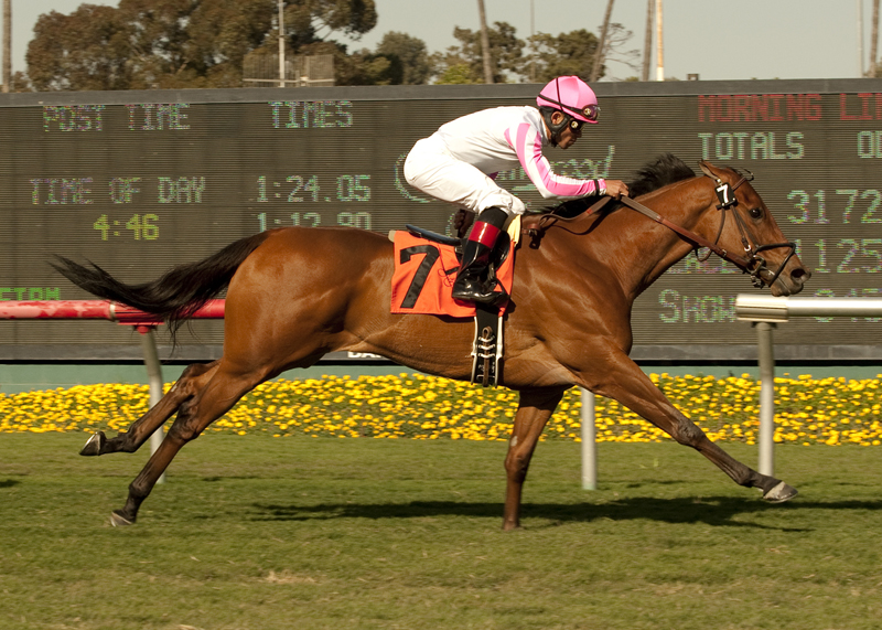 Dubawi Heights 4-30-2011