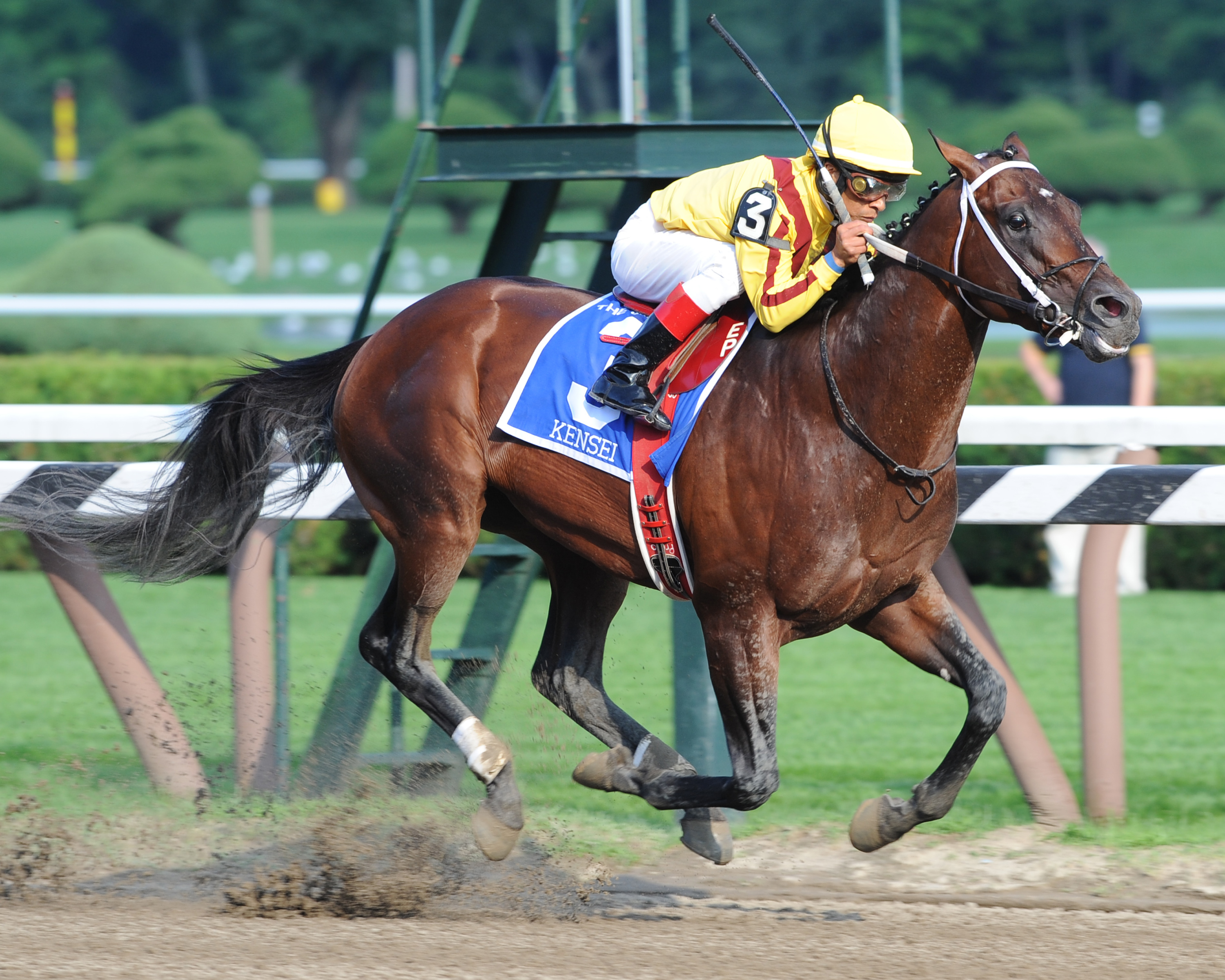 Kensei 2009