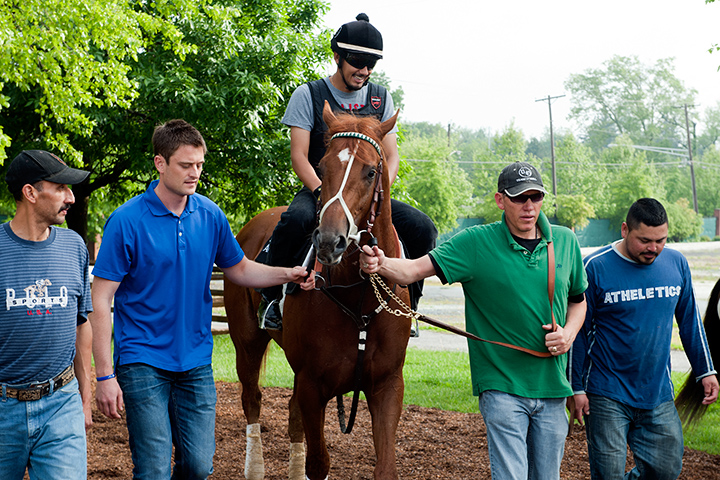 2012 Preakness: Judging by morning gallops, I'll Have Another is doing great