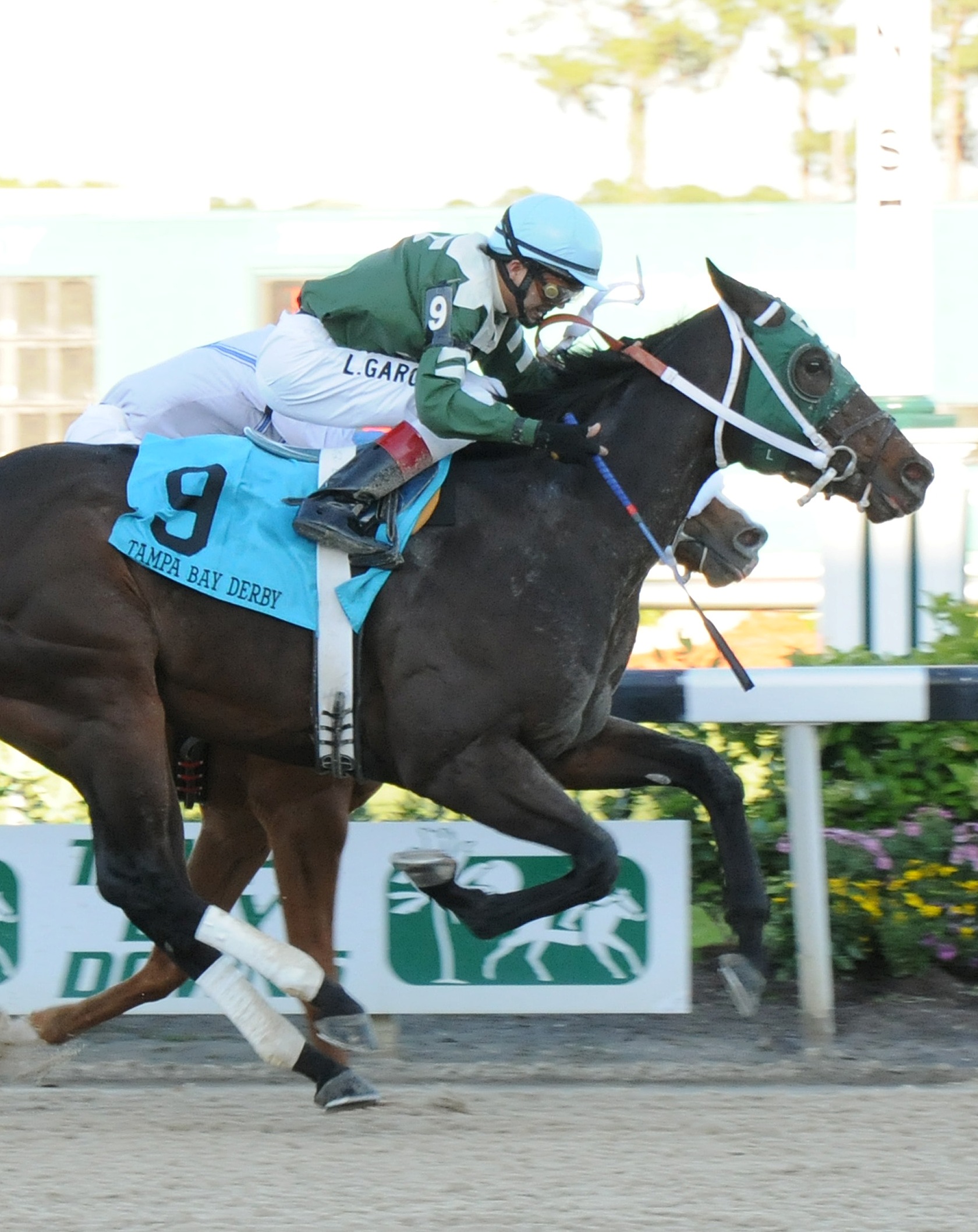 Watch Me Go, Tampa Bay Derby