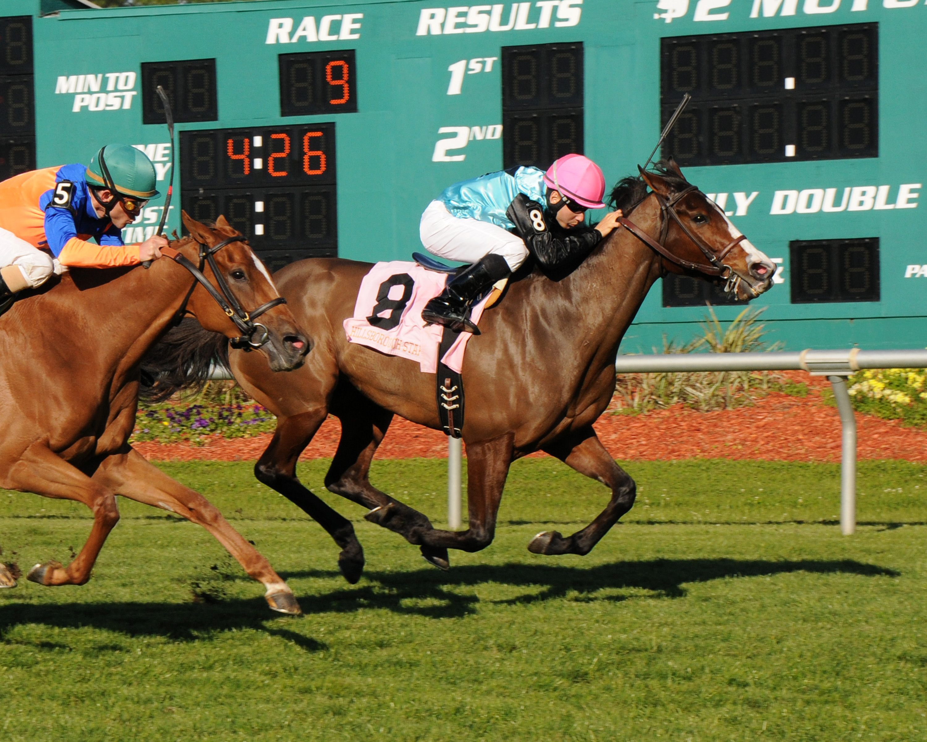 Denomination 3-12-2011