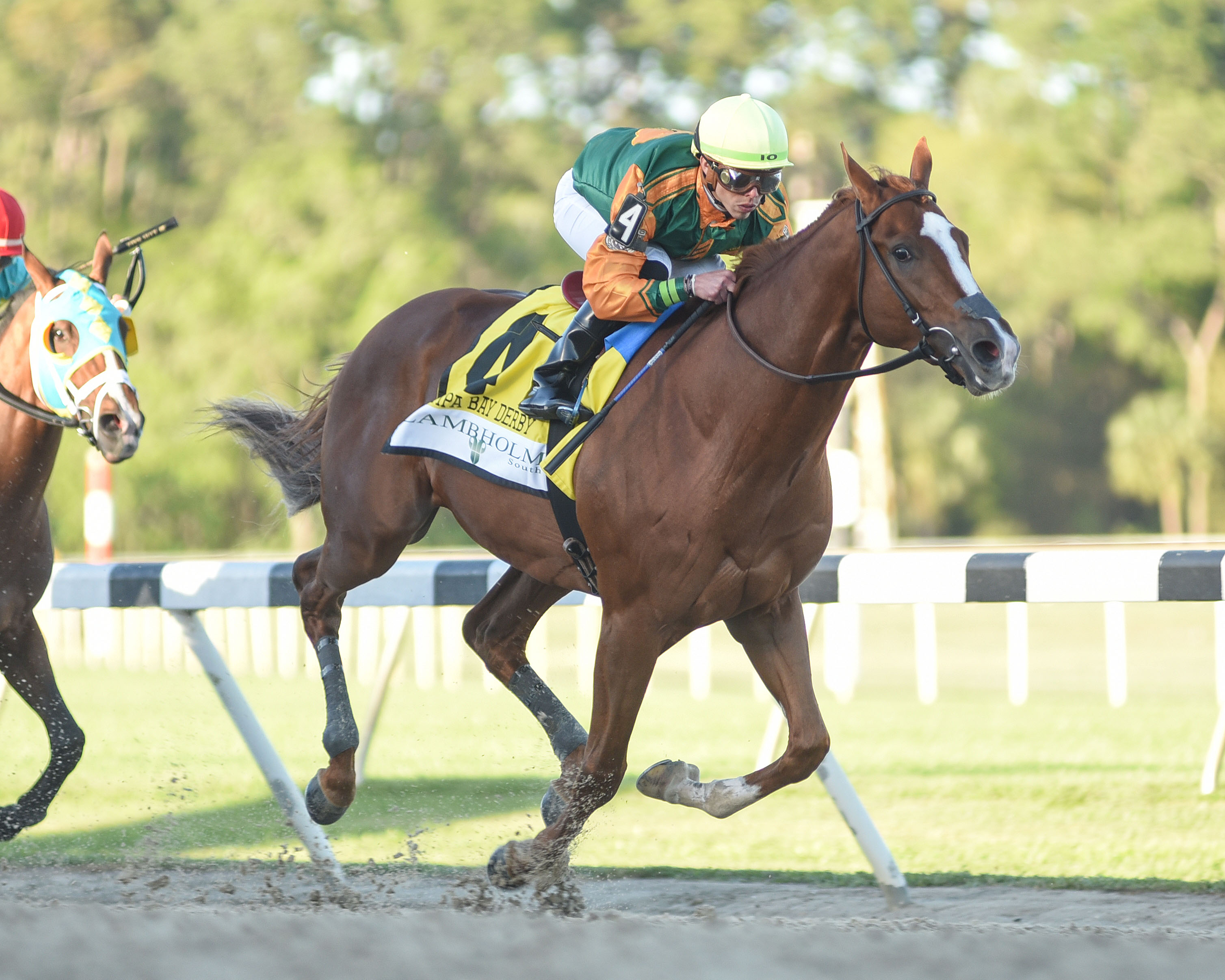 Classic Causeway wins Tampa Bay Derby 3-12-2022