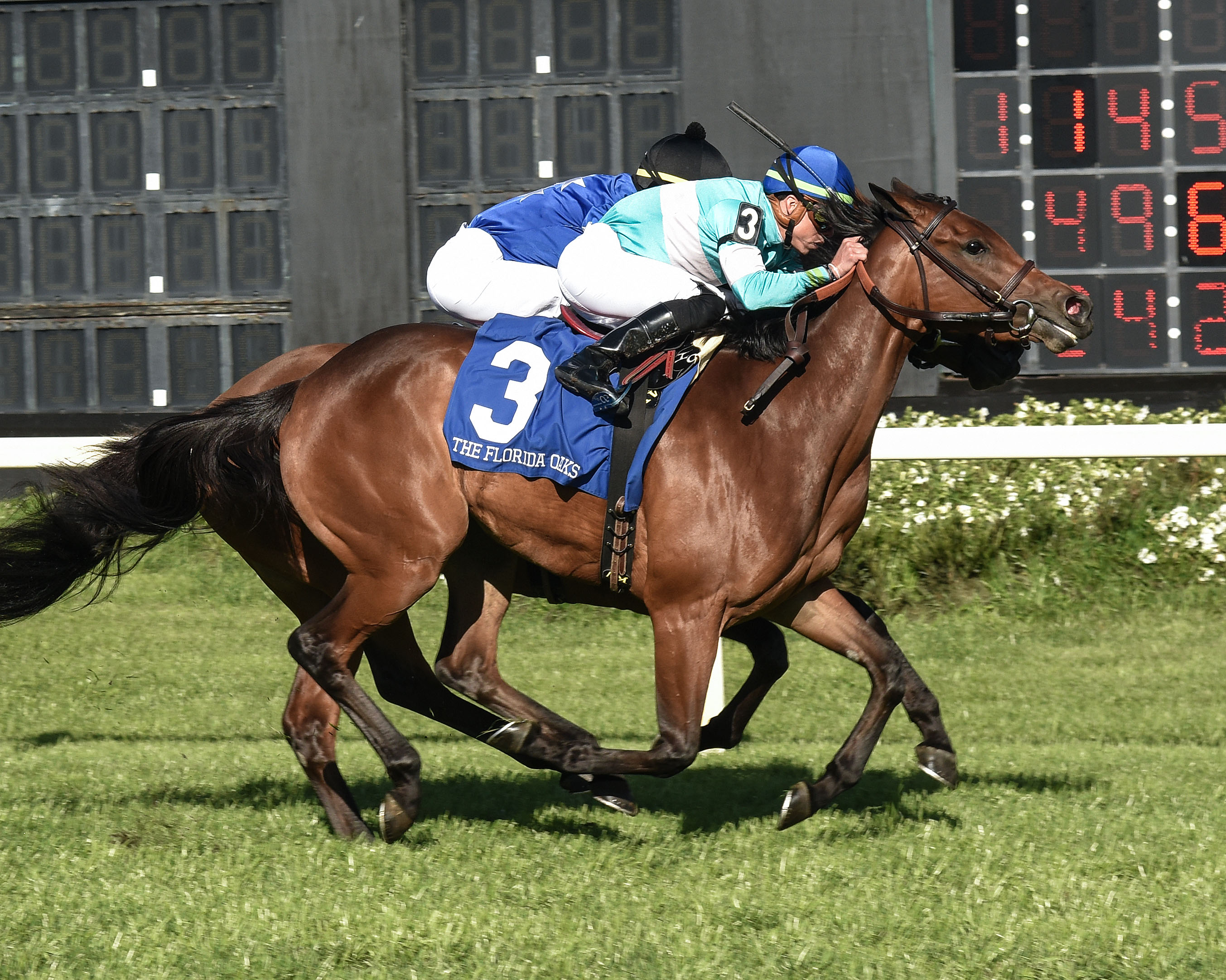 Dolce Zel wins Florida Oaks 3-12-2022