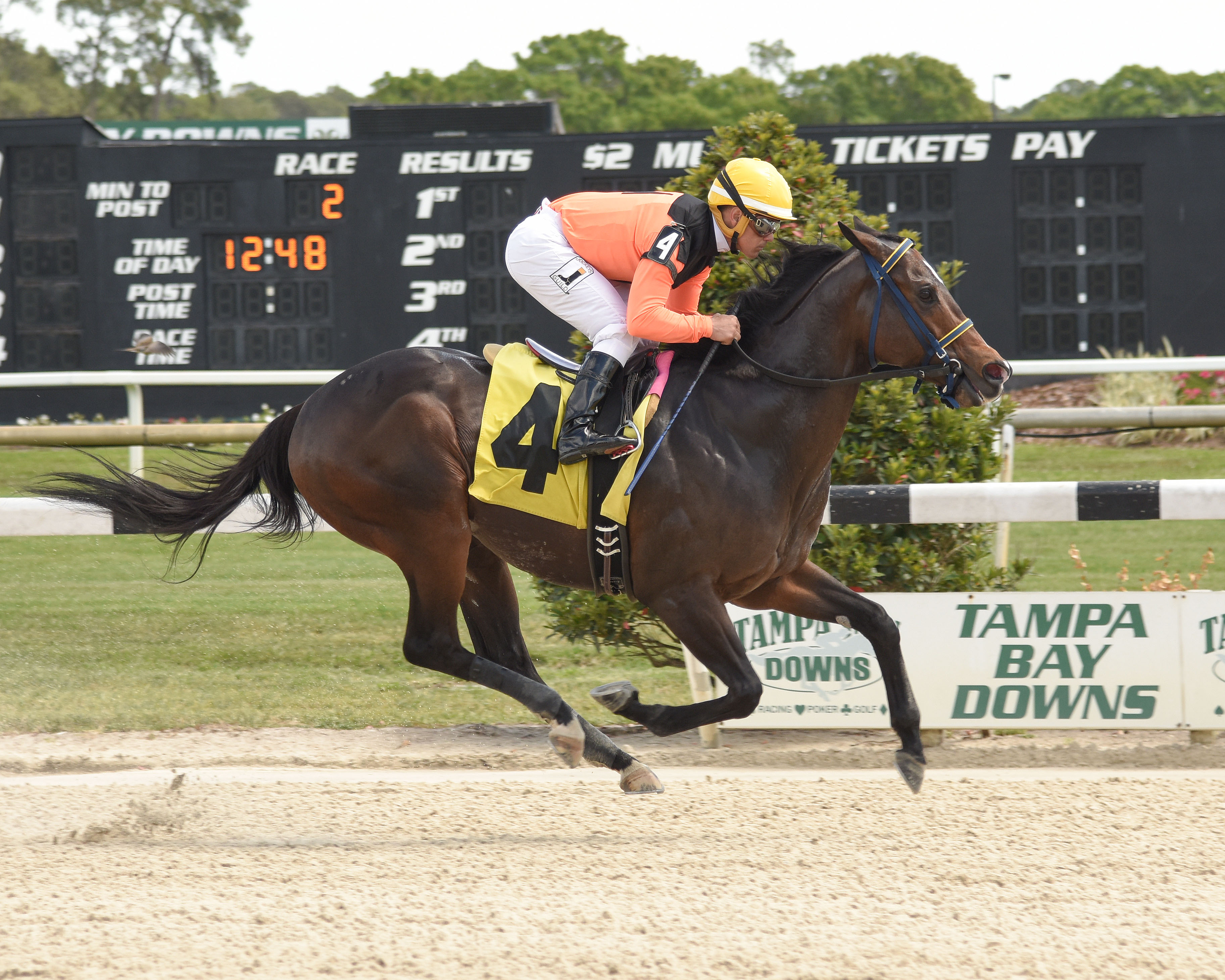 Castellano wins aboard Imperial Hint