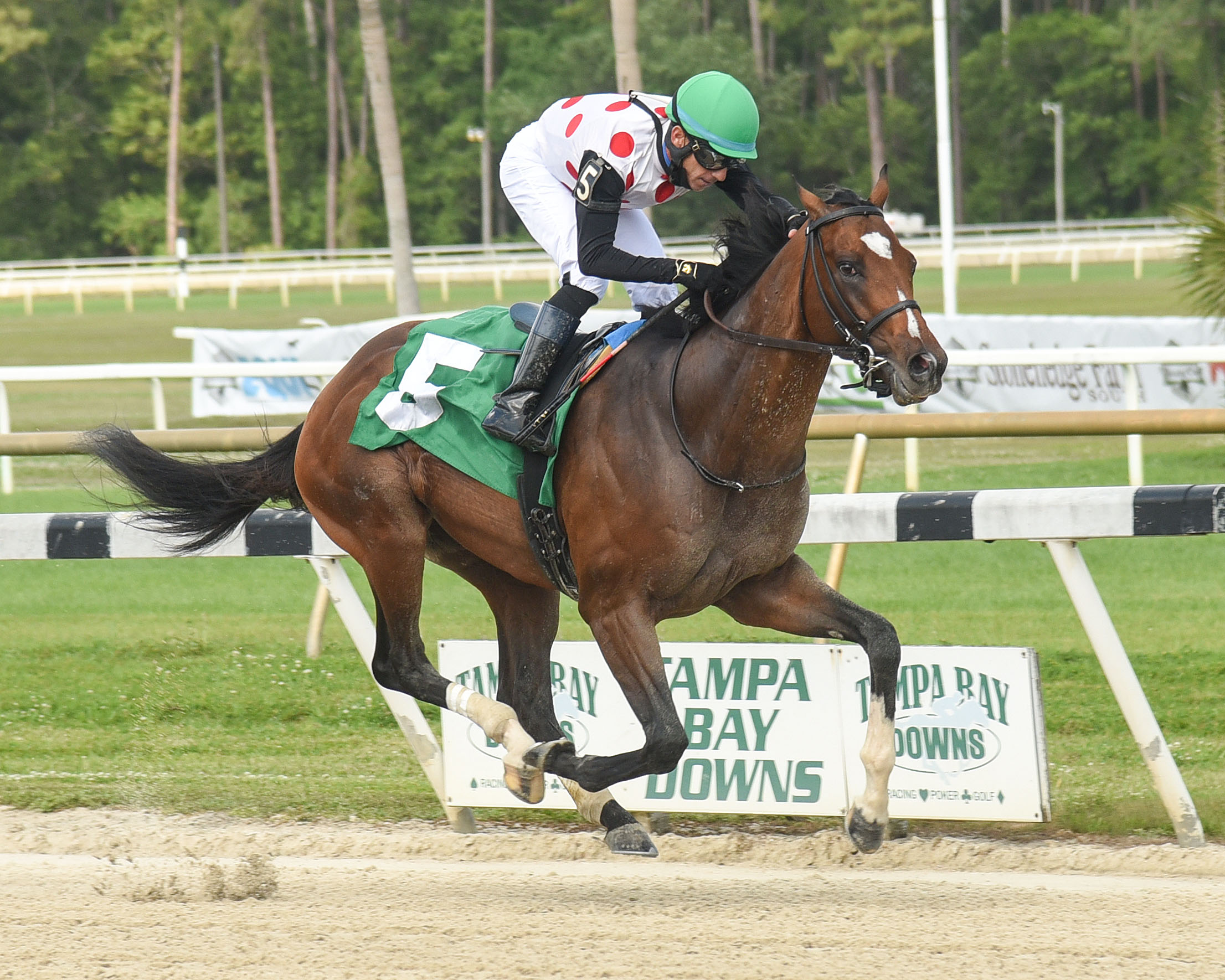 Tap It To Win wins Sprint Stakes 3-28-2021