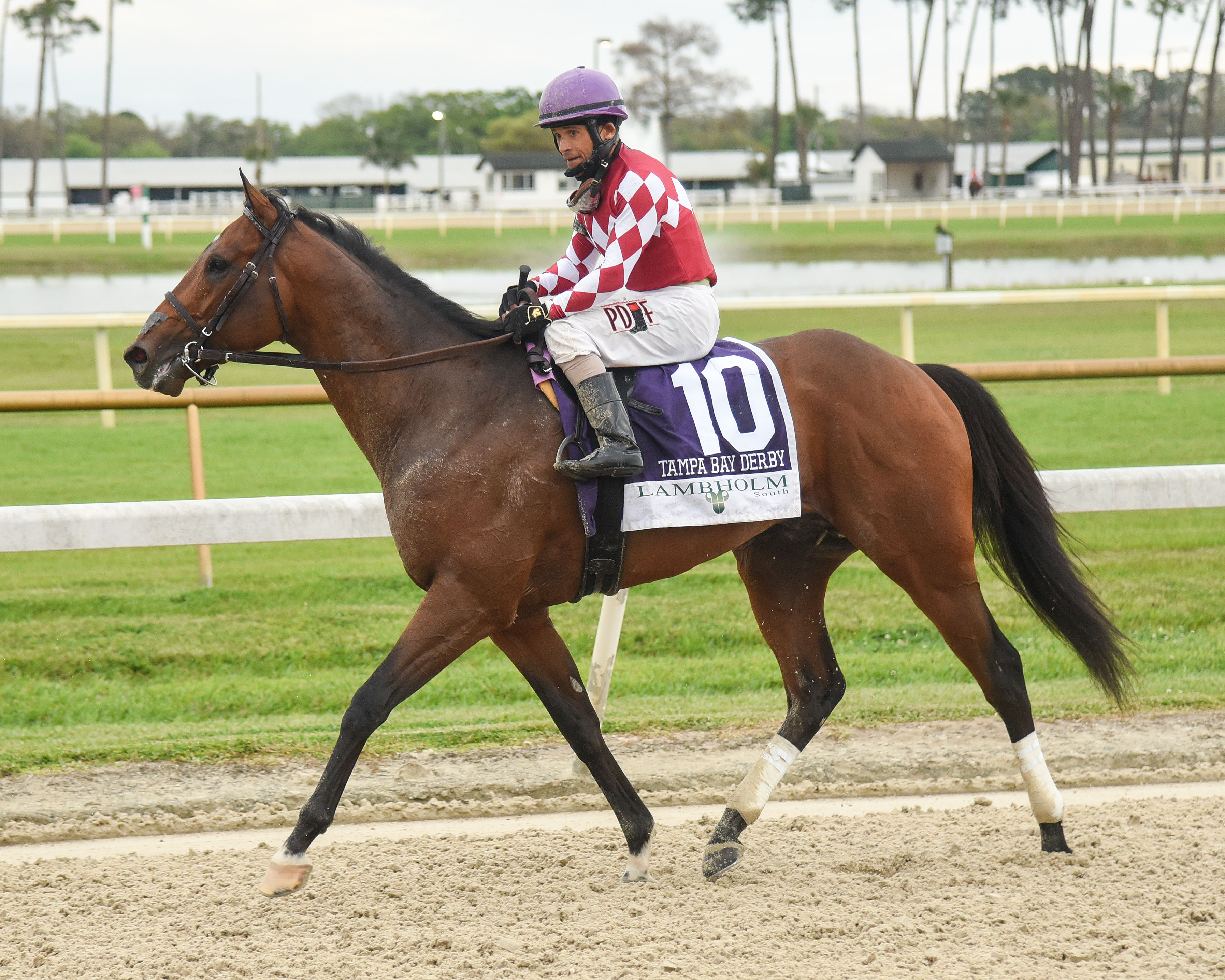 Helium wins Tampa Bay Derby 3-6-2021