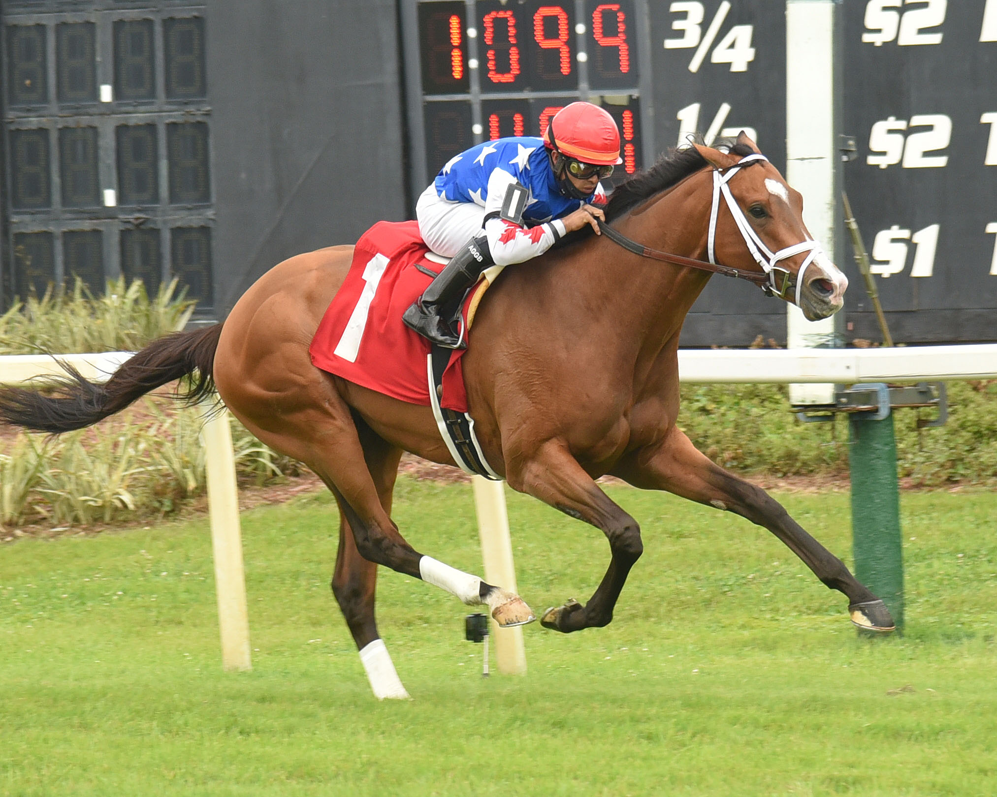 Winfromwithin wins Columbia Stakes 3-6-2021