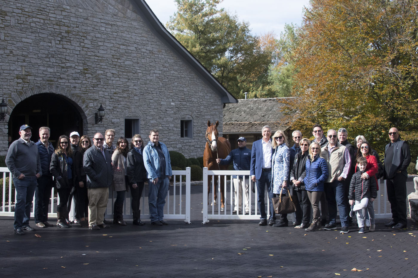 Starlight Racing/Justify