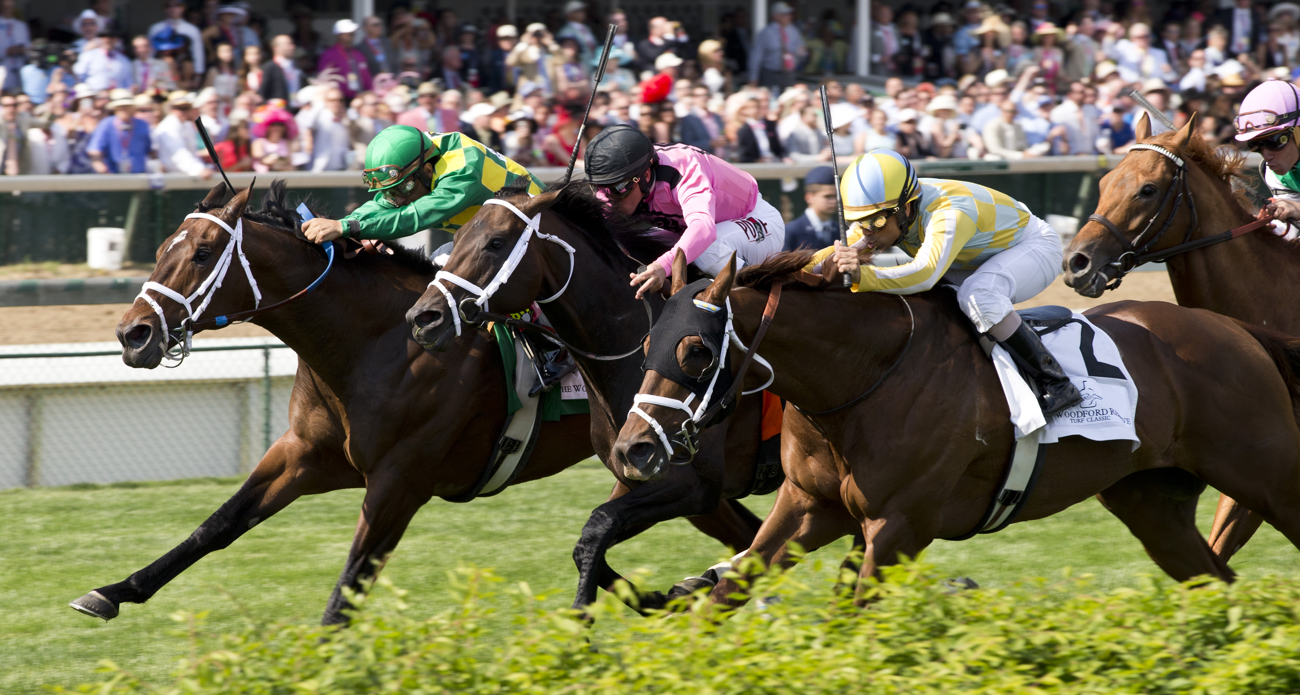 Finnegans Wake 5-2-2015