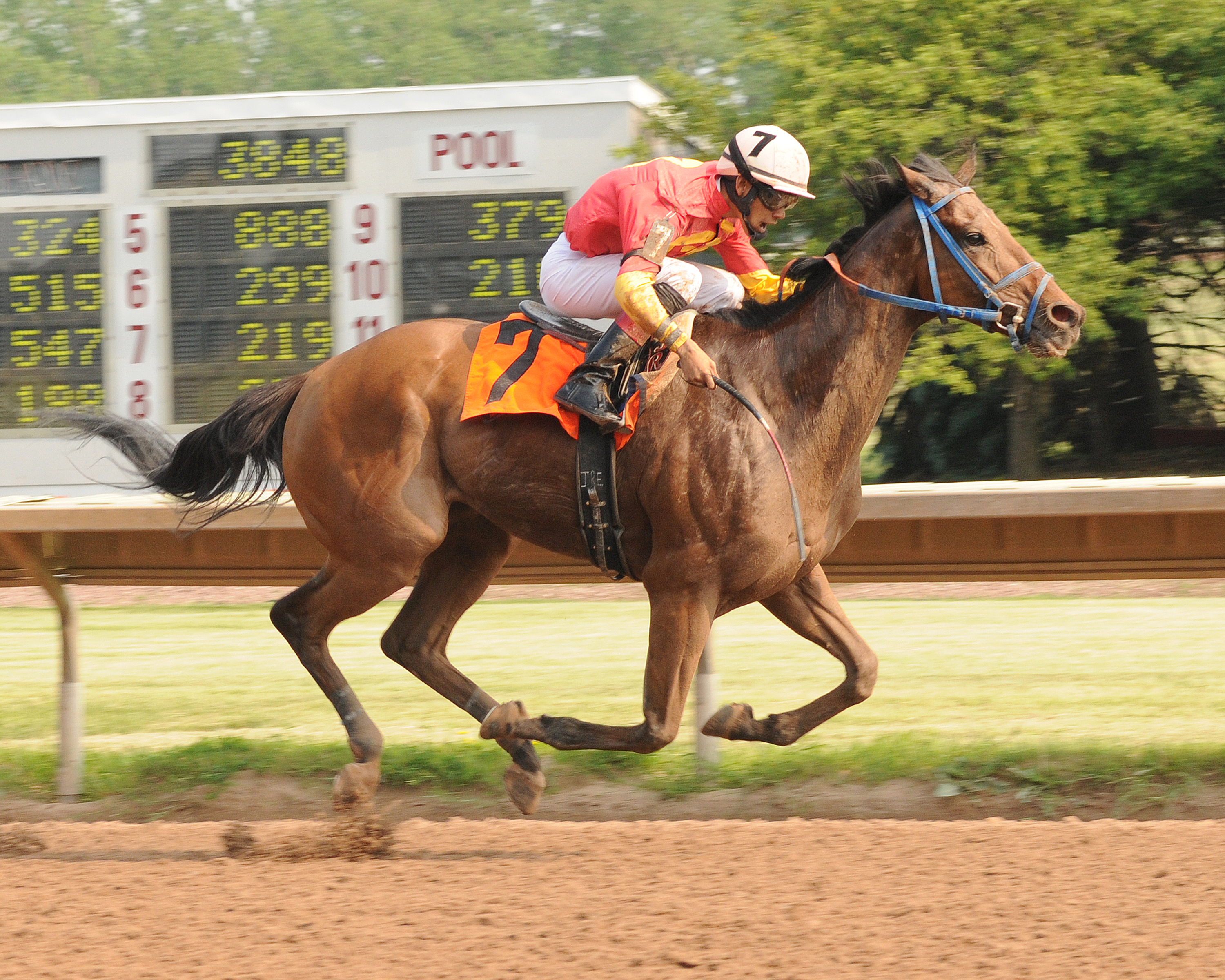 Al's Deputy 5-28-2012