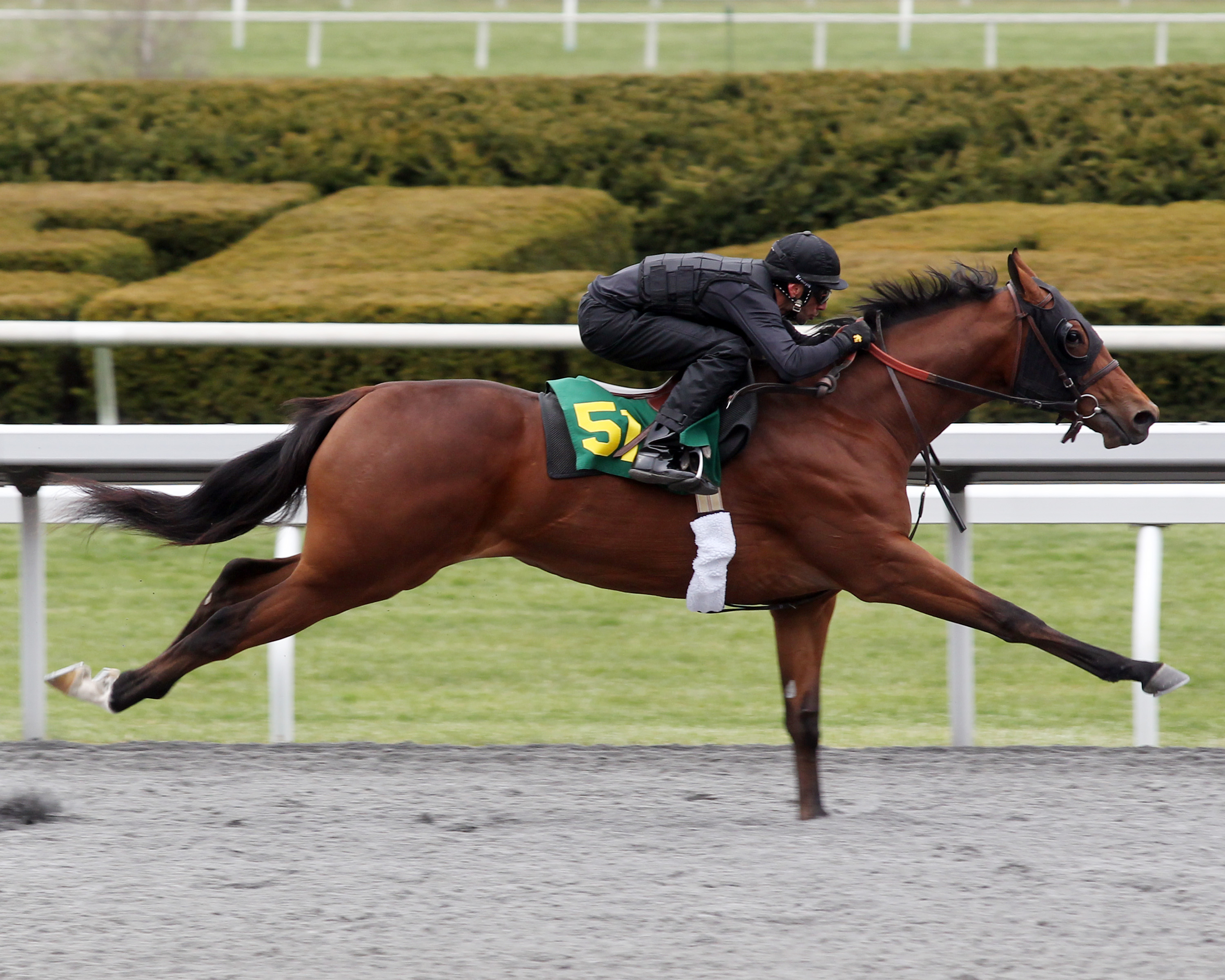 Keeneland April sale topper