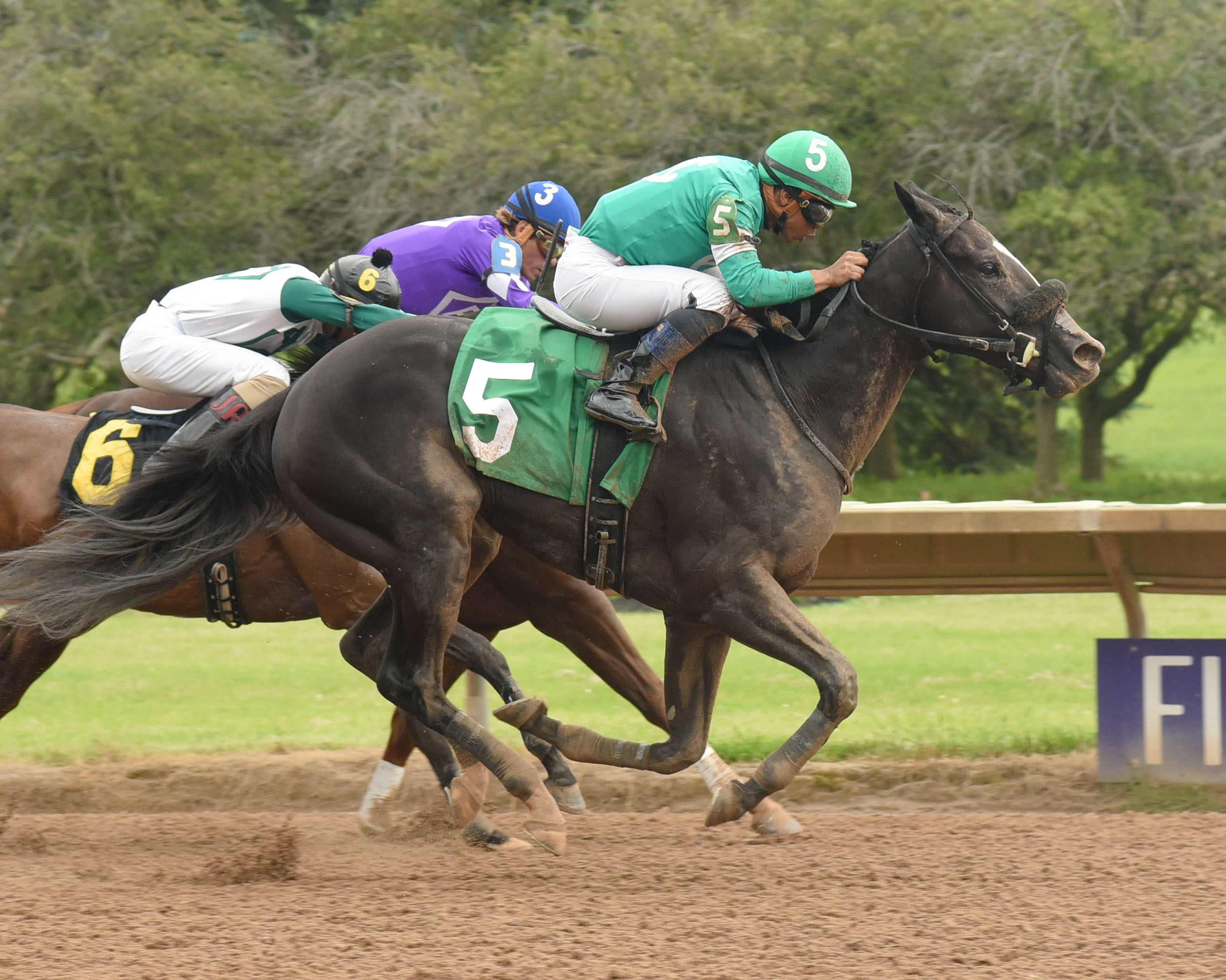 Hot Diggitty wins the 2019 Ontario County Stakes