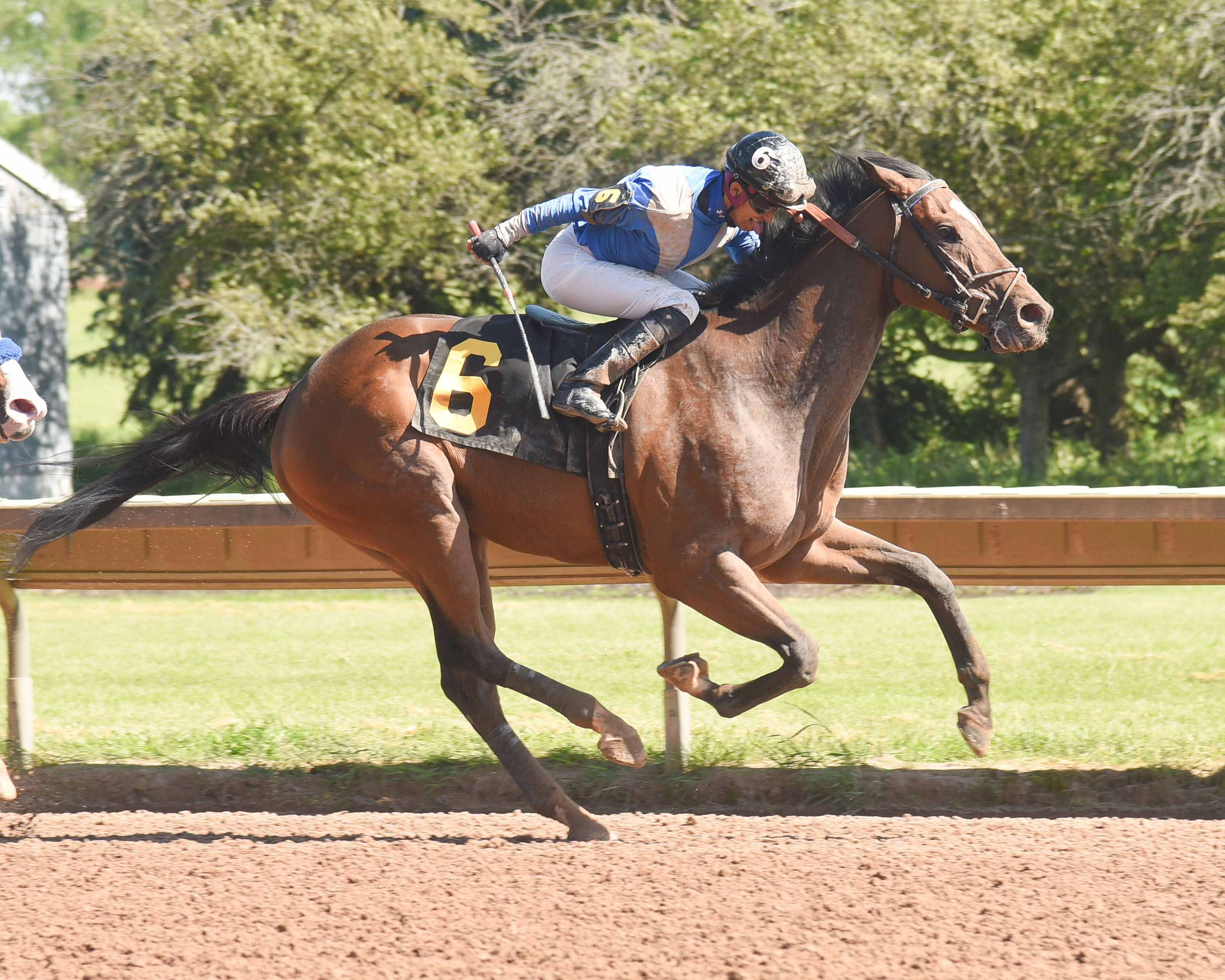 PJ Advantage wins the 2019 George W. Barker Stakes