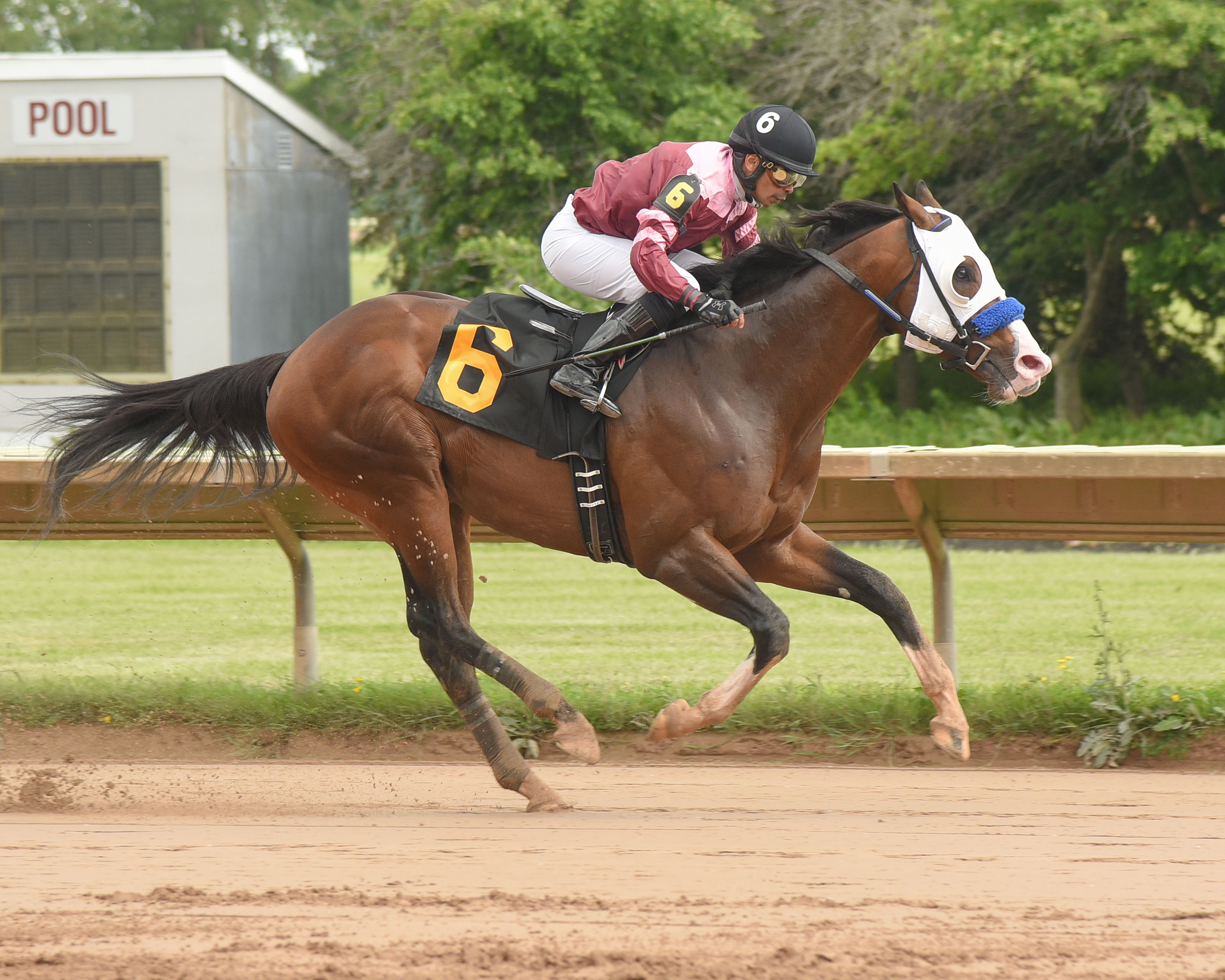 Saratoga Giro wins the 2018 George Barker Stakes