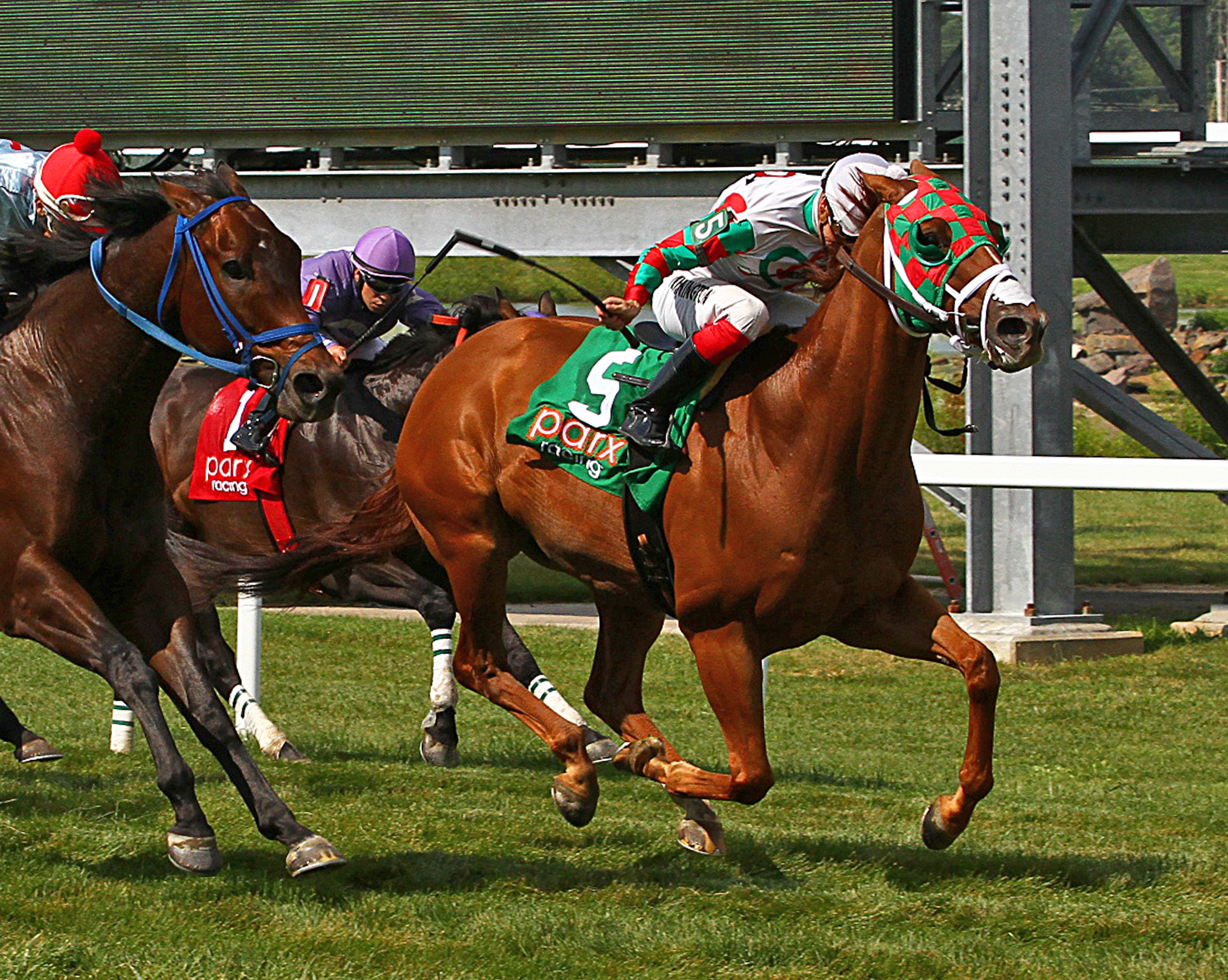 Tightend Touchdown wins 2015 Parx Dash