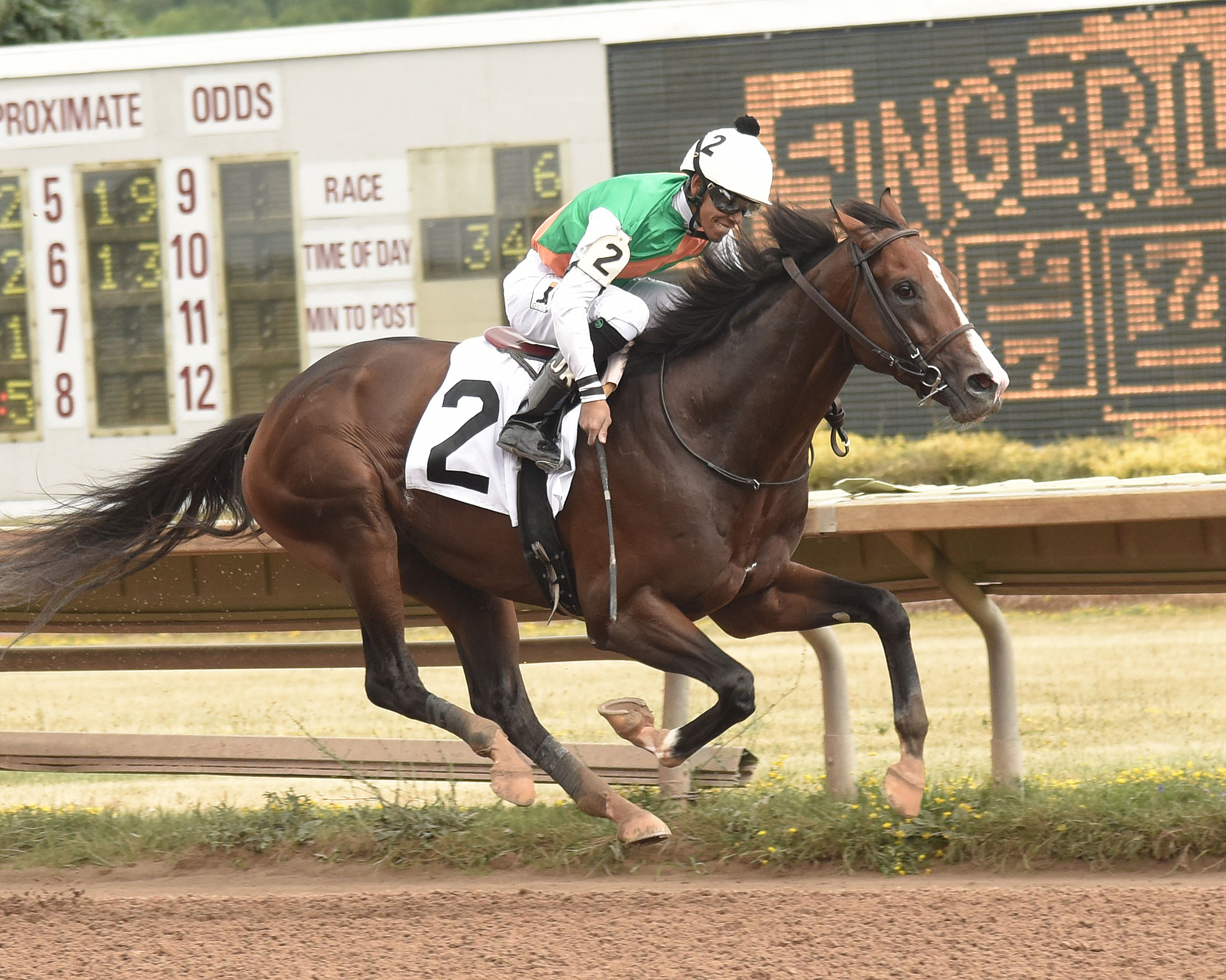 Sea Foam wins the 2018 New York Derby