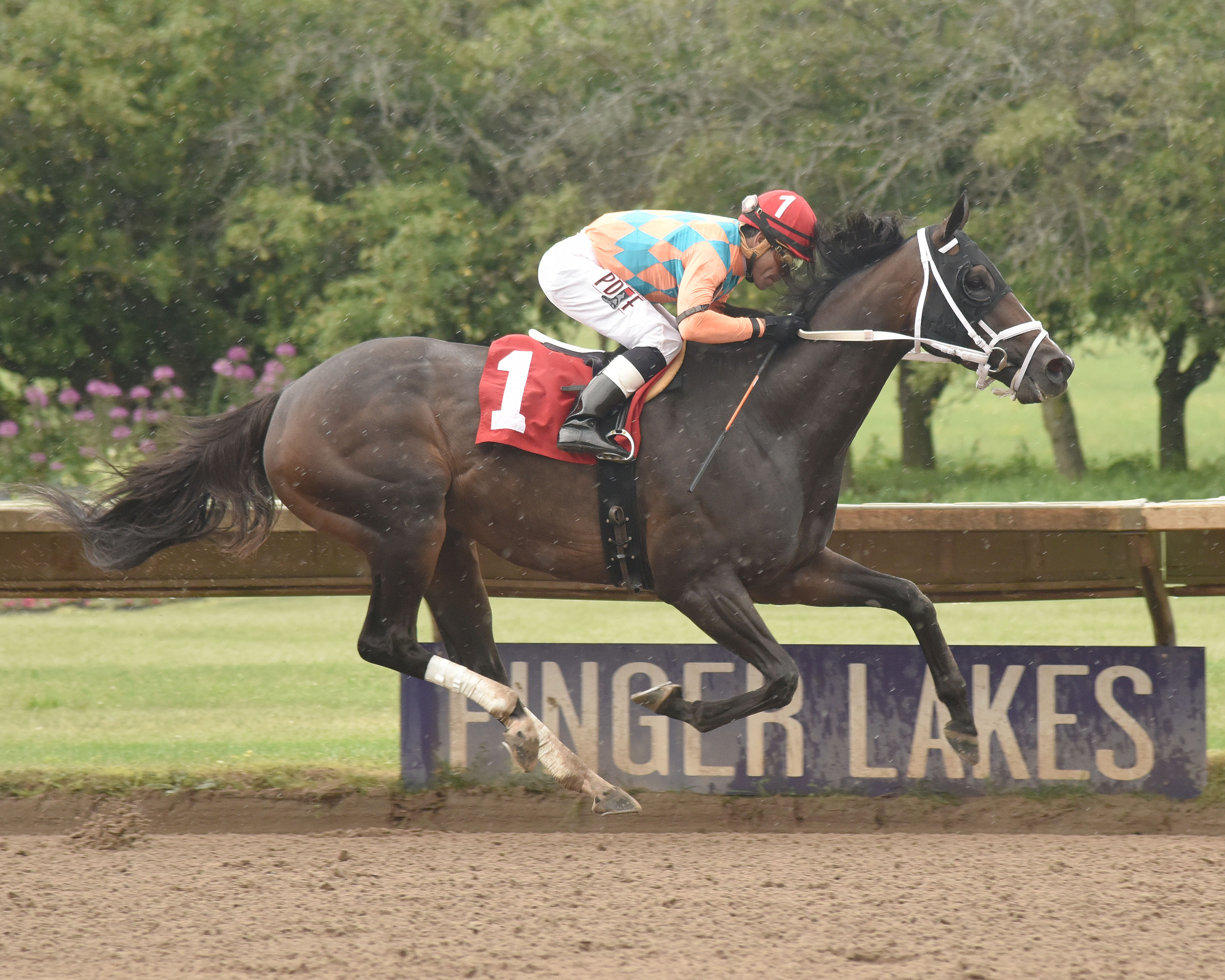 Frosty Margarita wins the 2018 Jack Betta Be Rite Stakes
