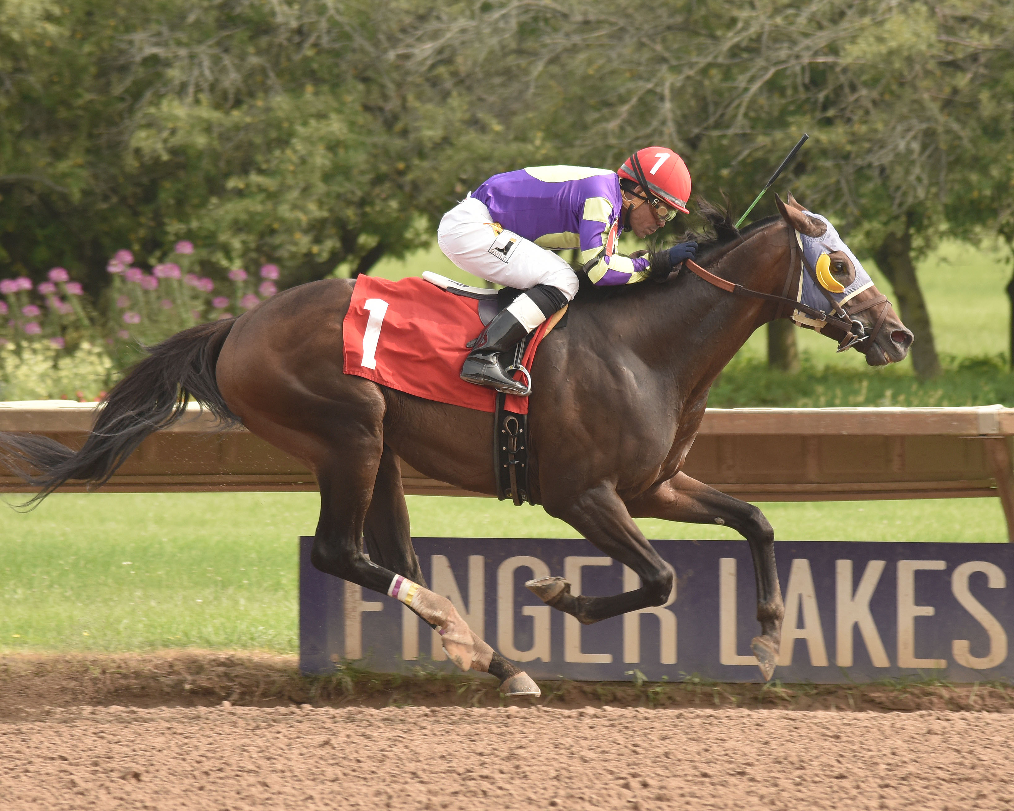 Hit It Once More wins 2018 Genesee Valley Breeders' Stakes