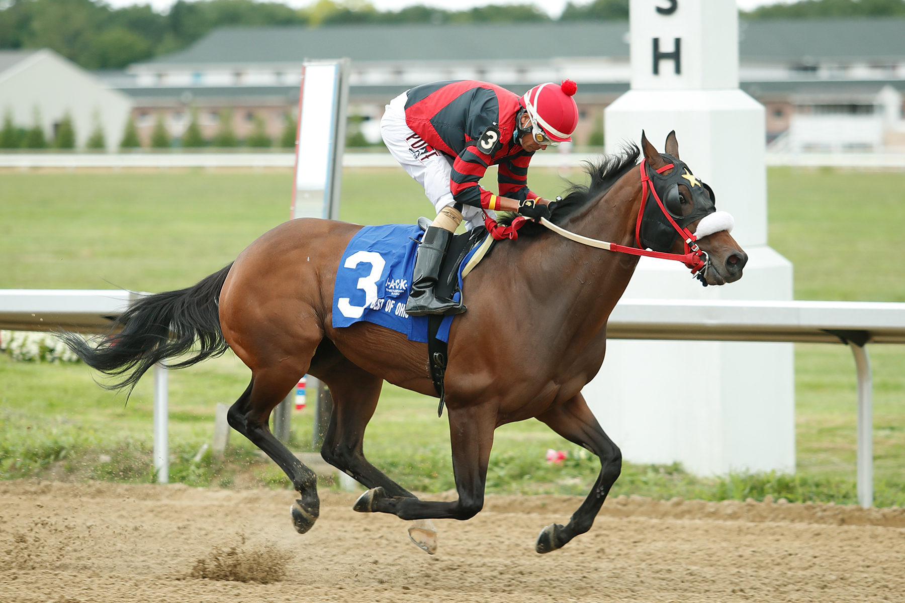 Dougie D Oro/Honey Jay