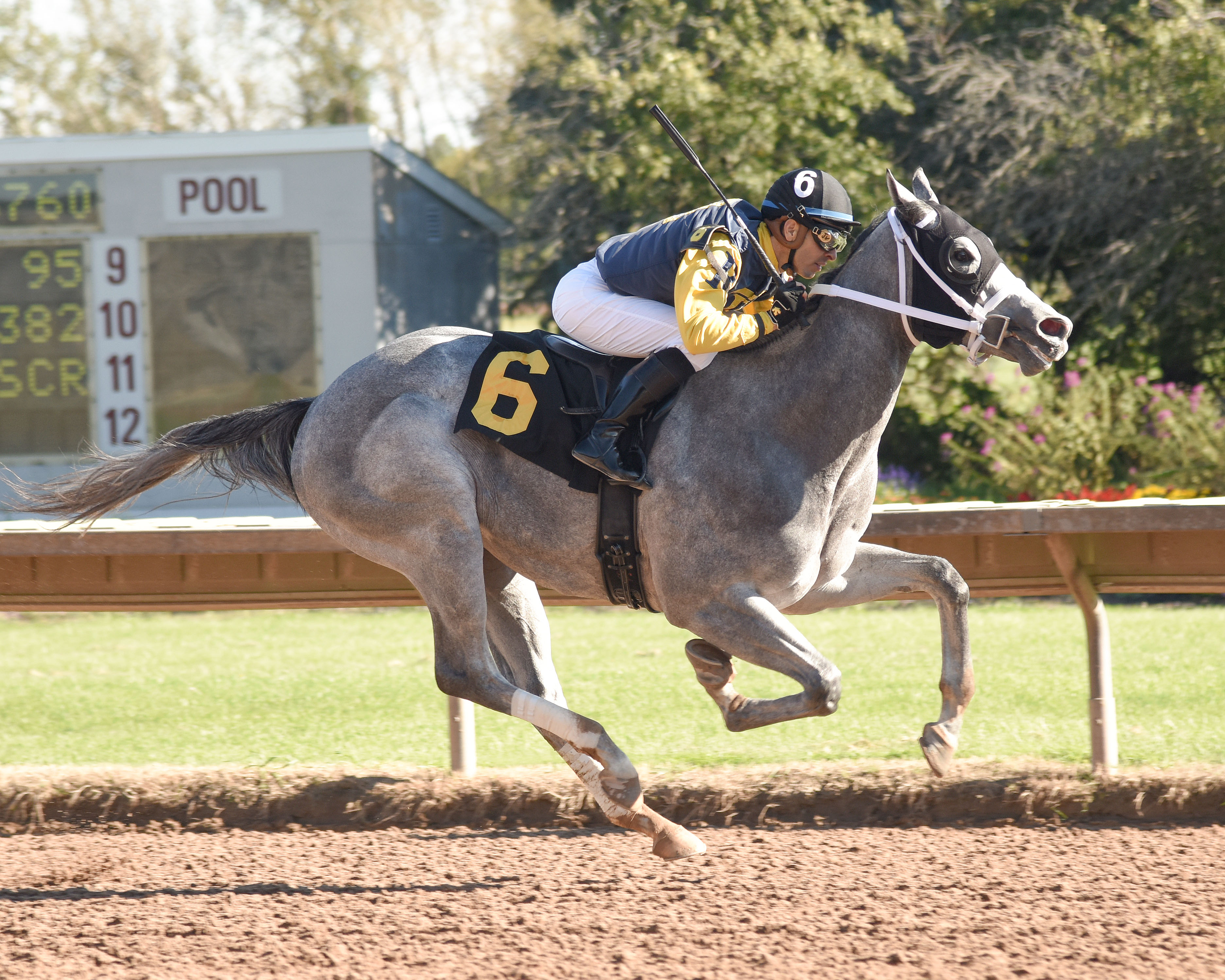 Dugout wins the 2018 NY Breeders Futurity
