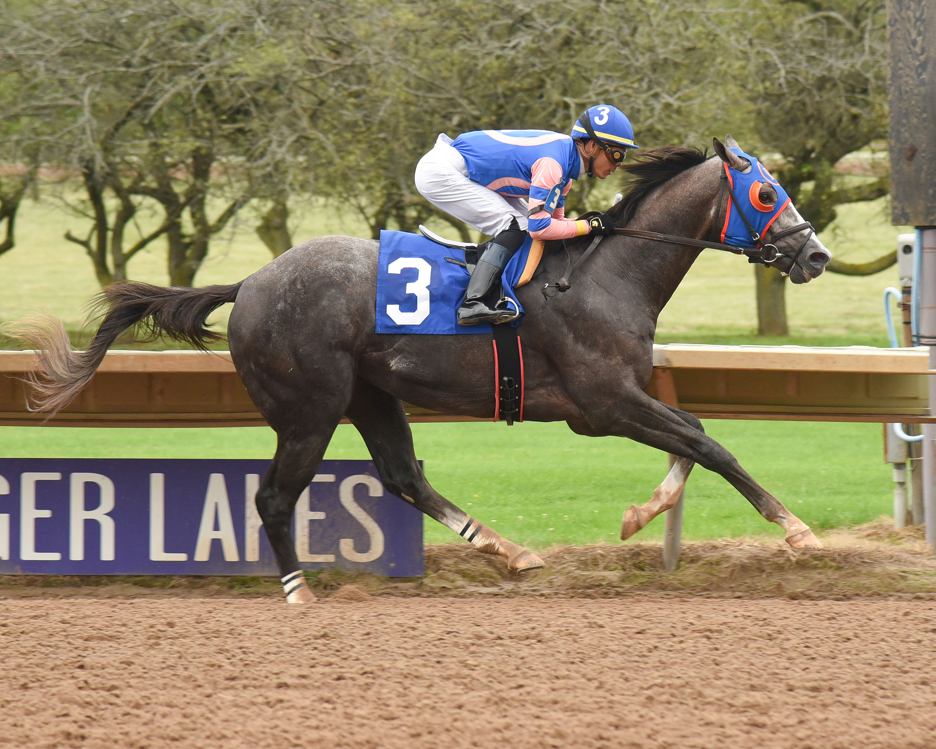 Dream Bigger wins the 2019 New York Breeders' Futurity