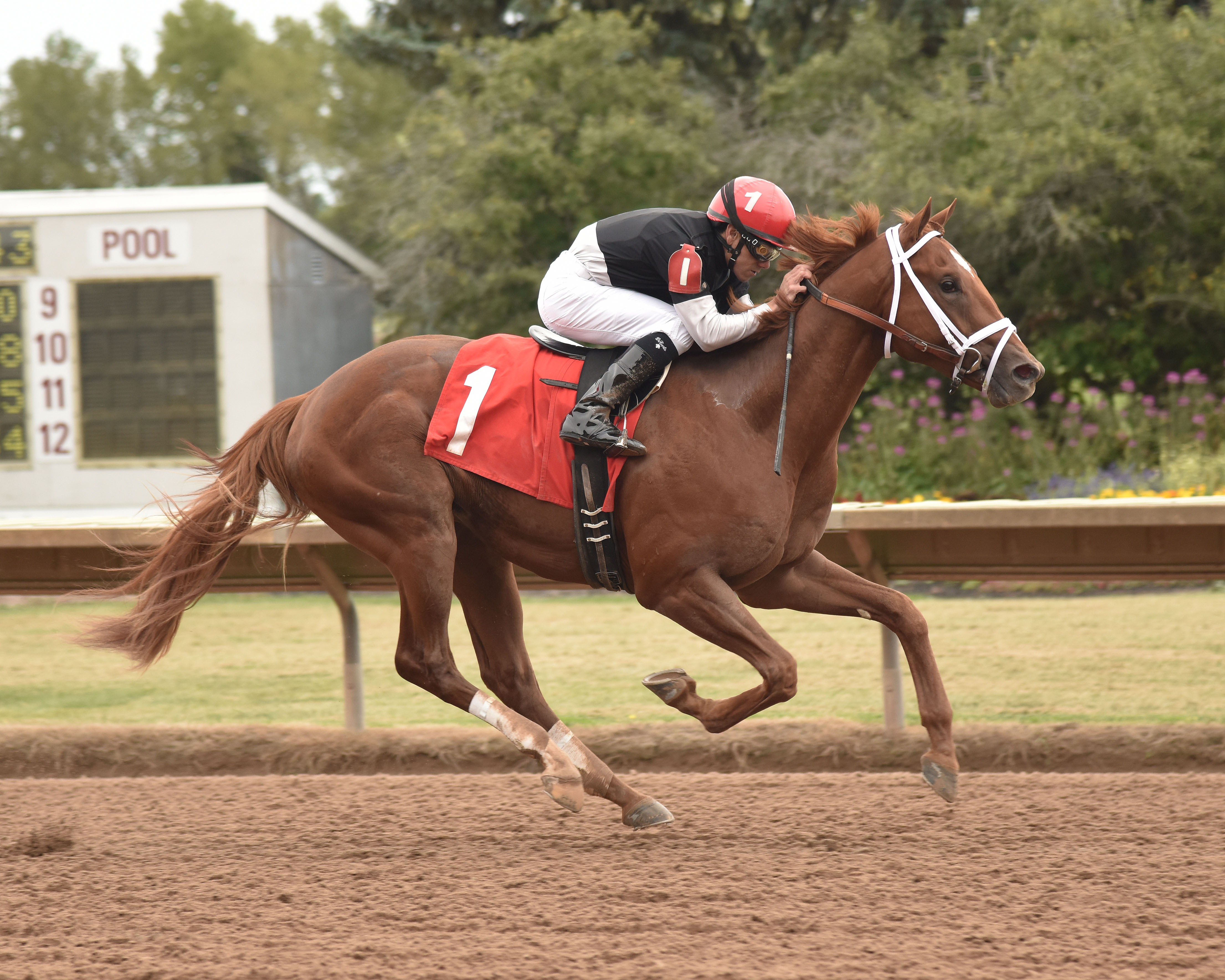 La Fuerza wins 2018 Aspirant