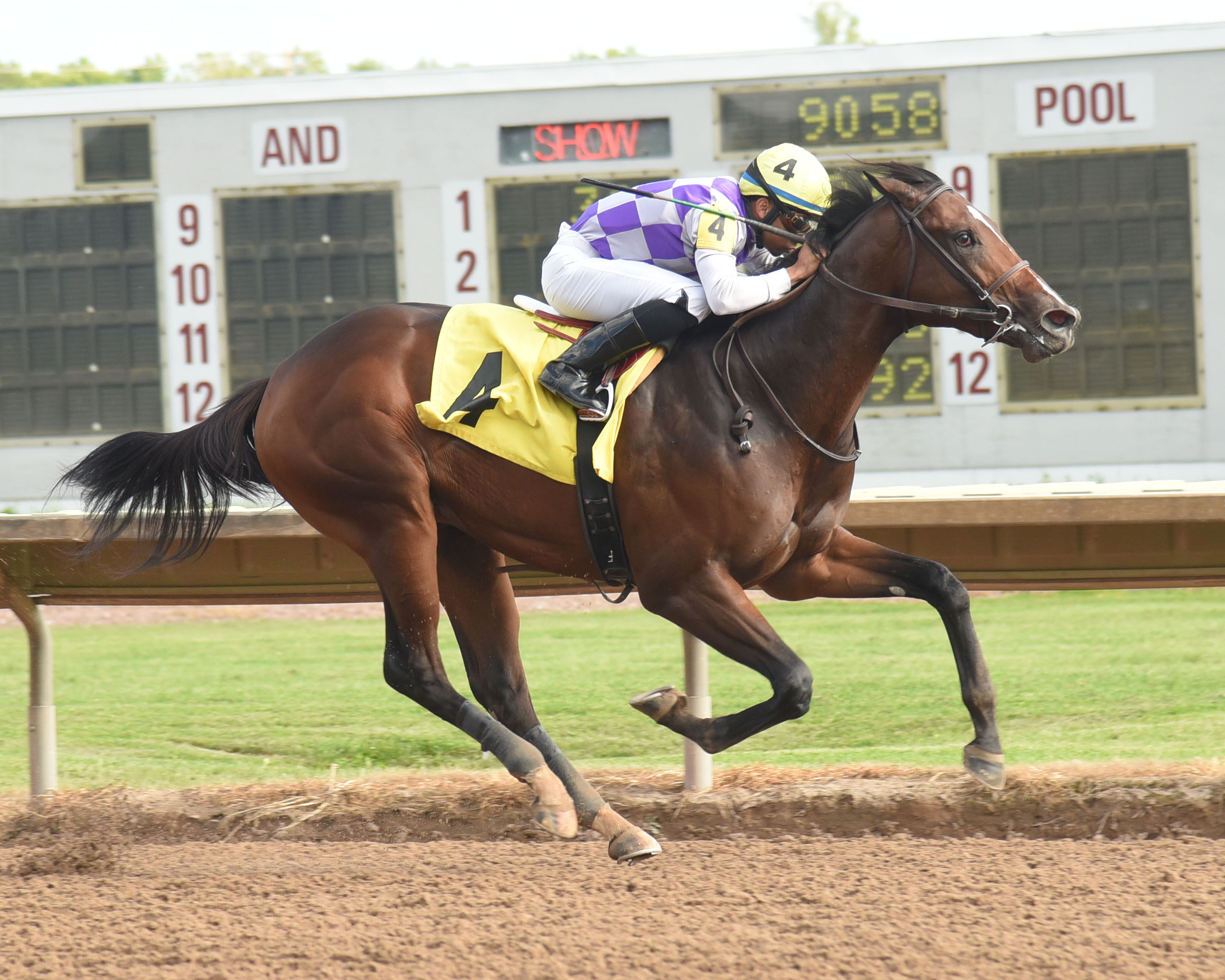 Listentoyourheart wins the 2019 Aspirant Stakes