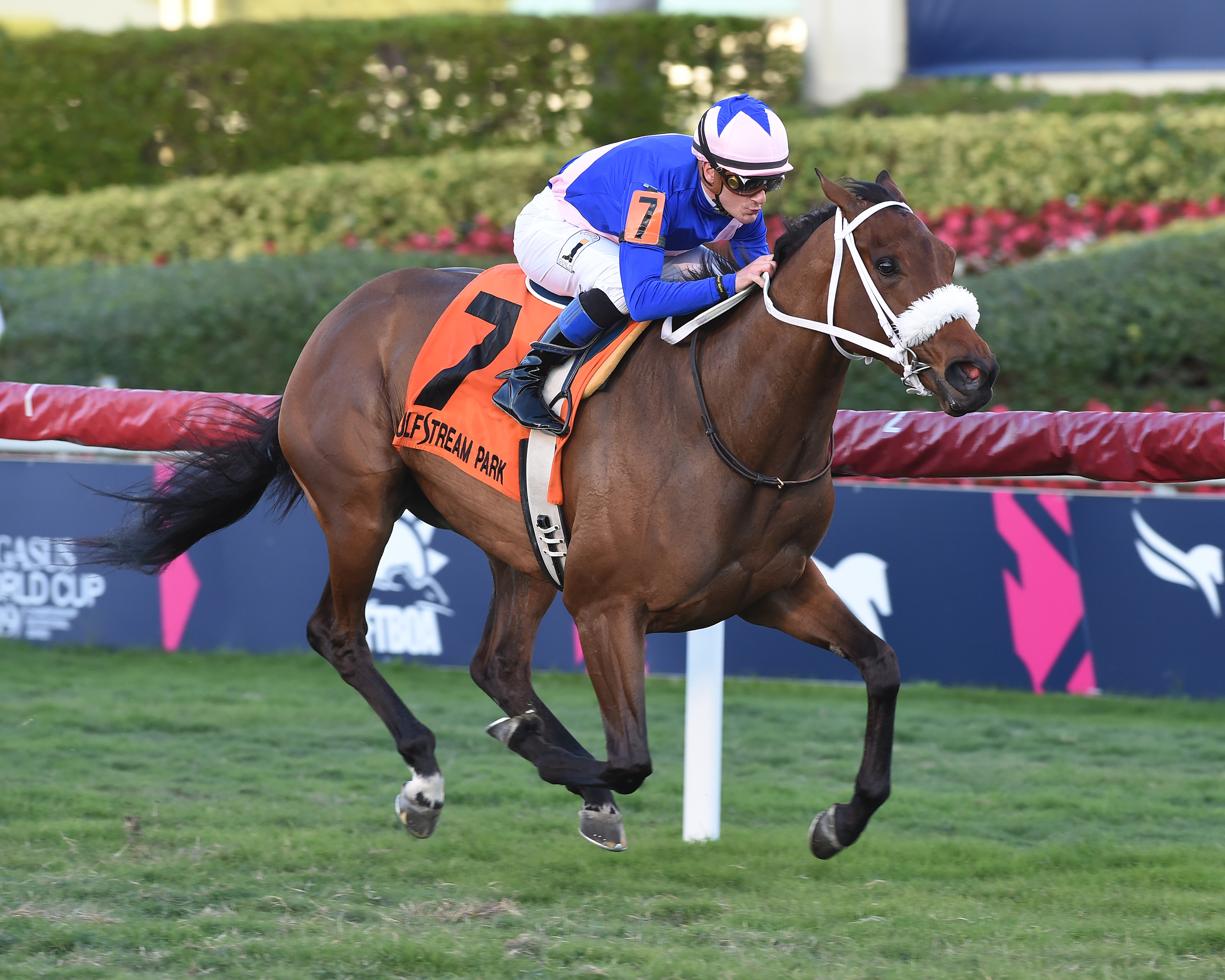 A Bit Special wins 2019 Sweetest Chant