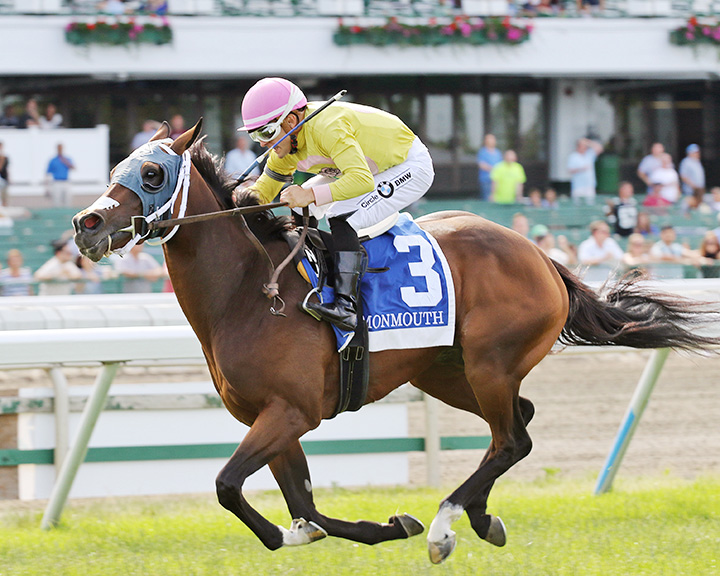 A Bit of Both wins the 2019 Honey Bee Stakes at Monmouth Park