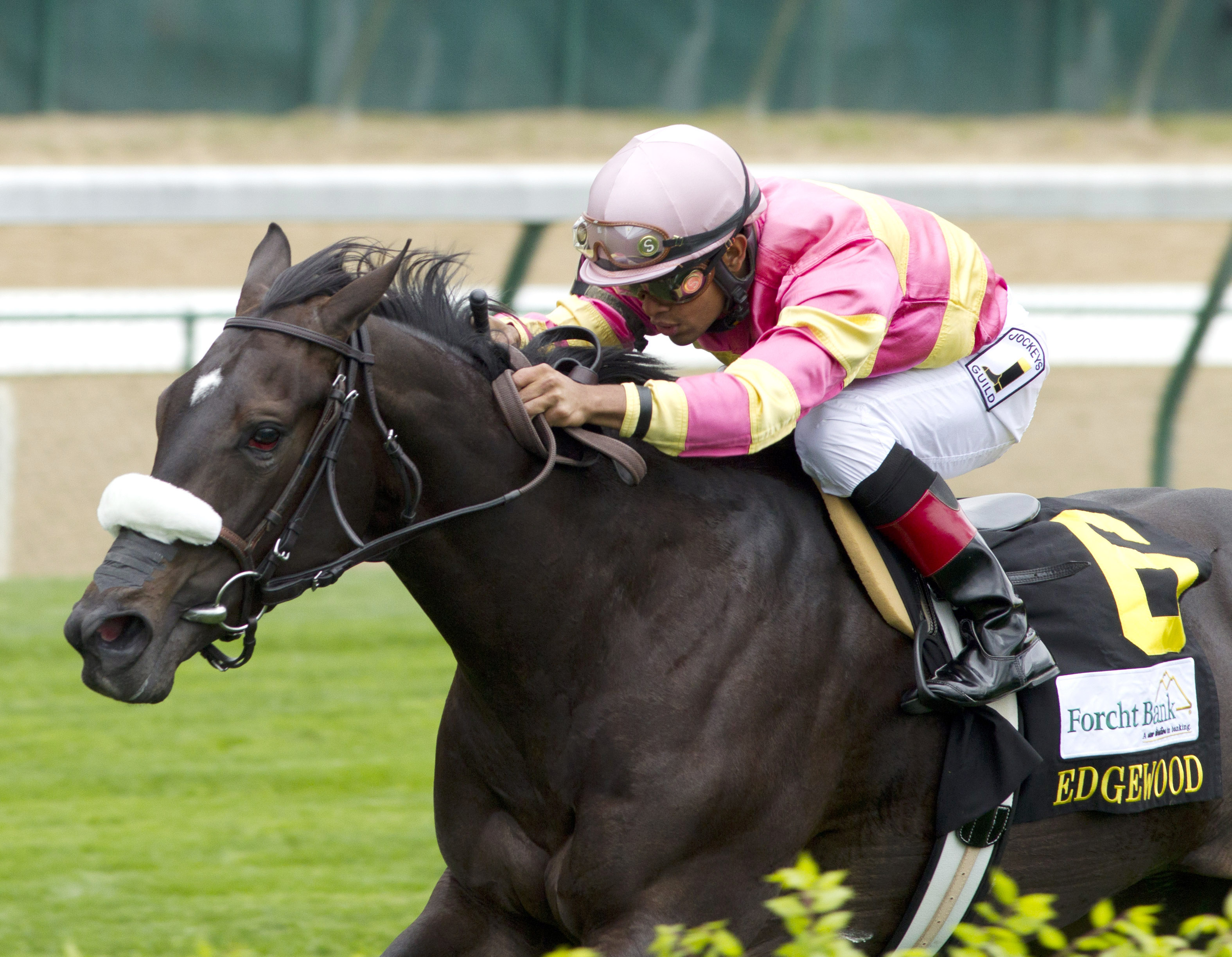 A Little Bit Sassy wins the Edgewood Stakes