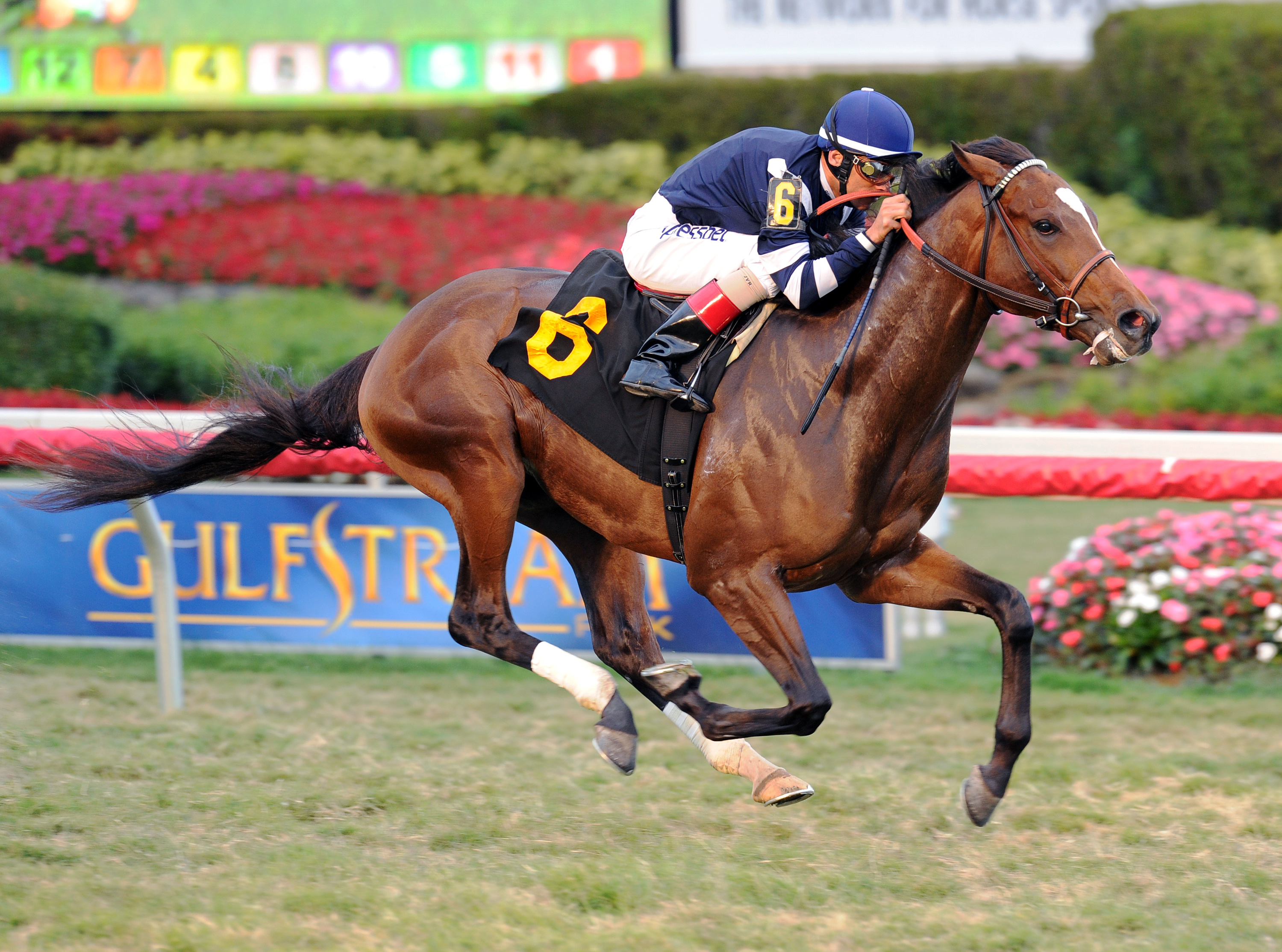 A Lot wins an optional claiming race