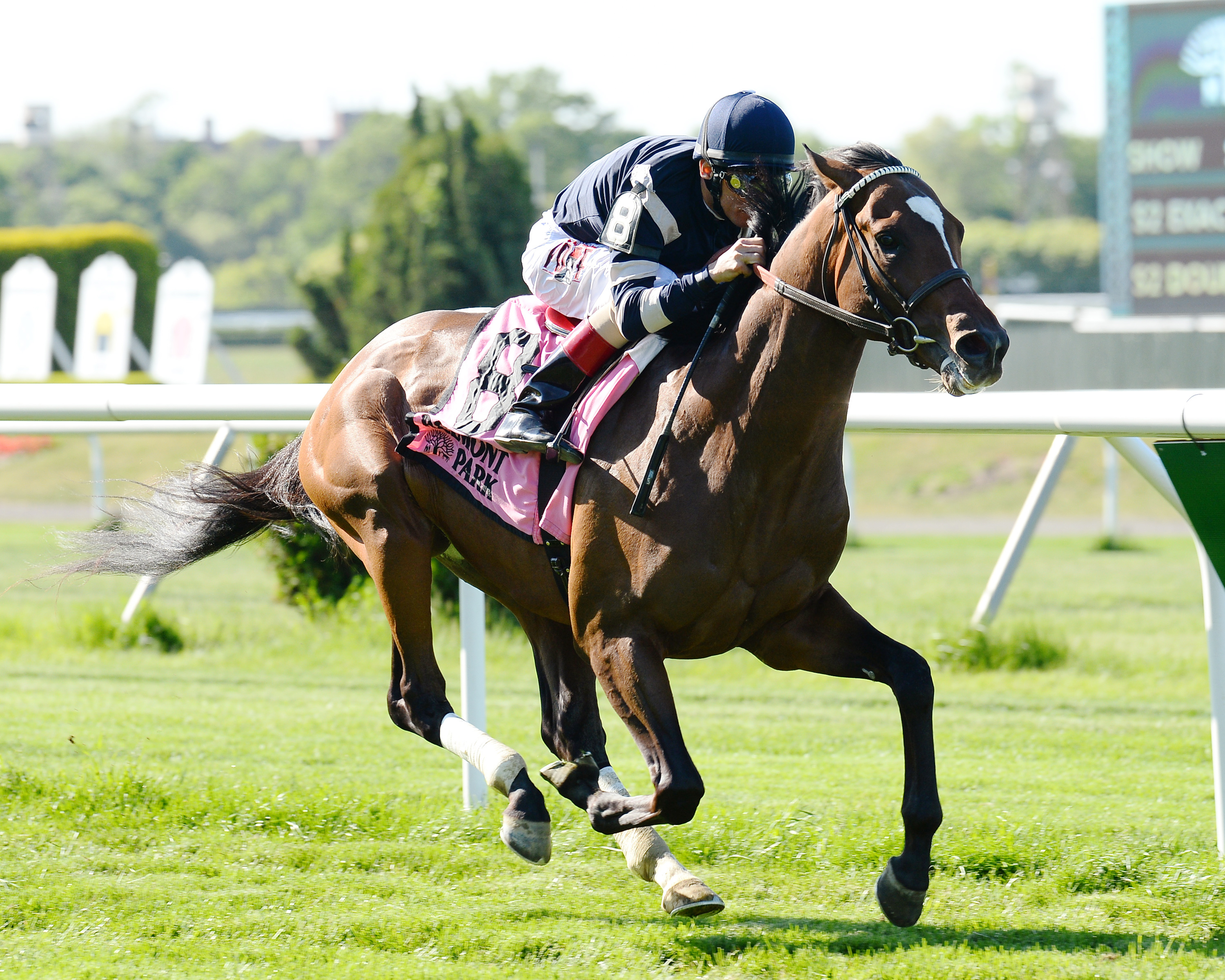 A Lot wins the Paradise Creek Stakes