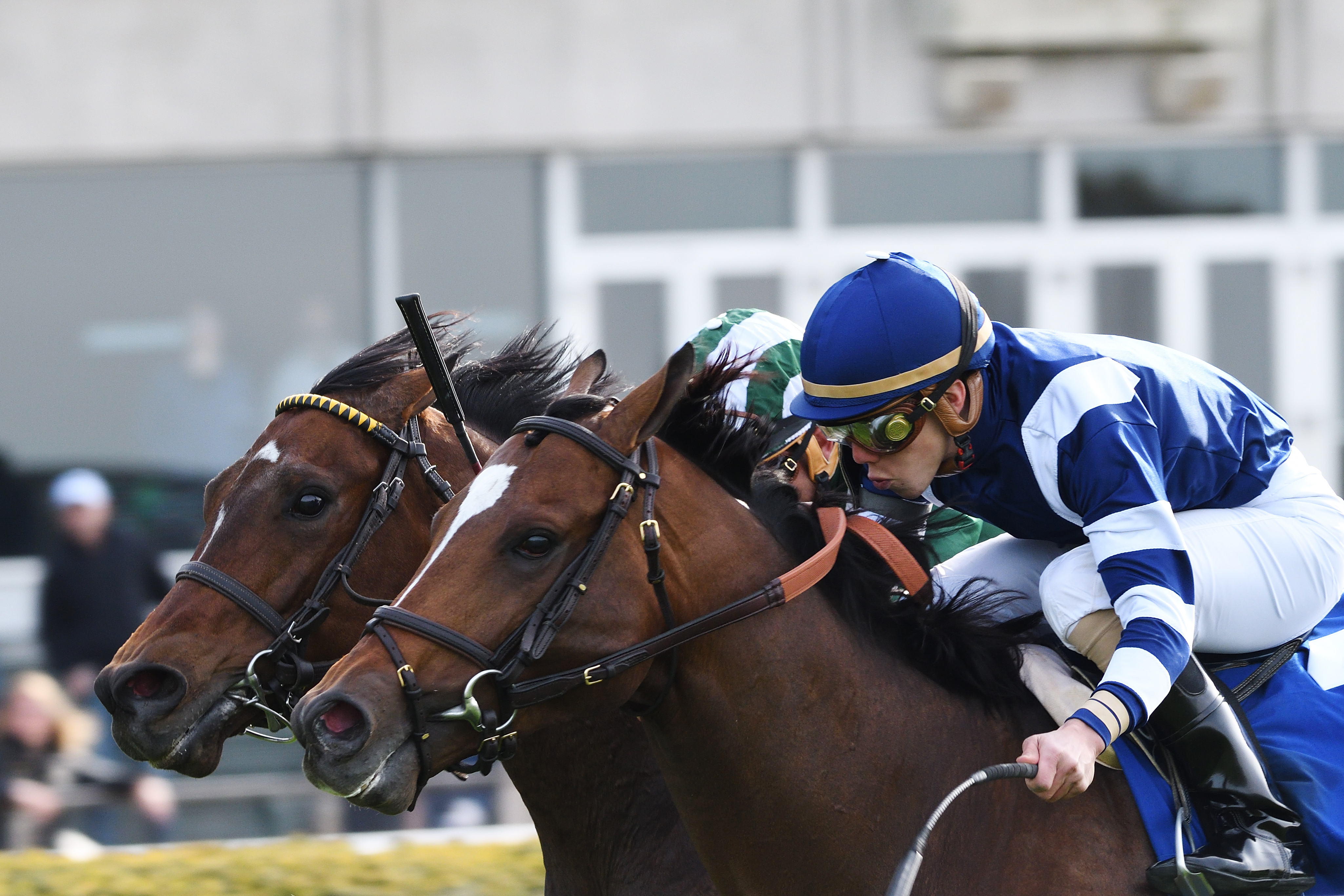 A Lot wins the Elusive Quality Stakes