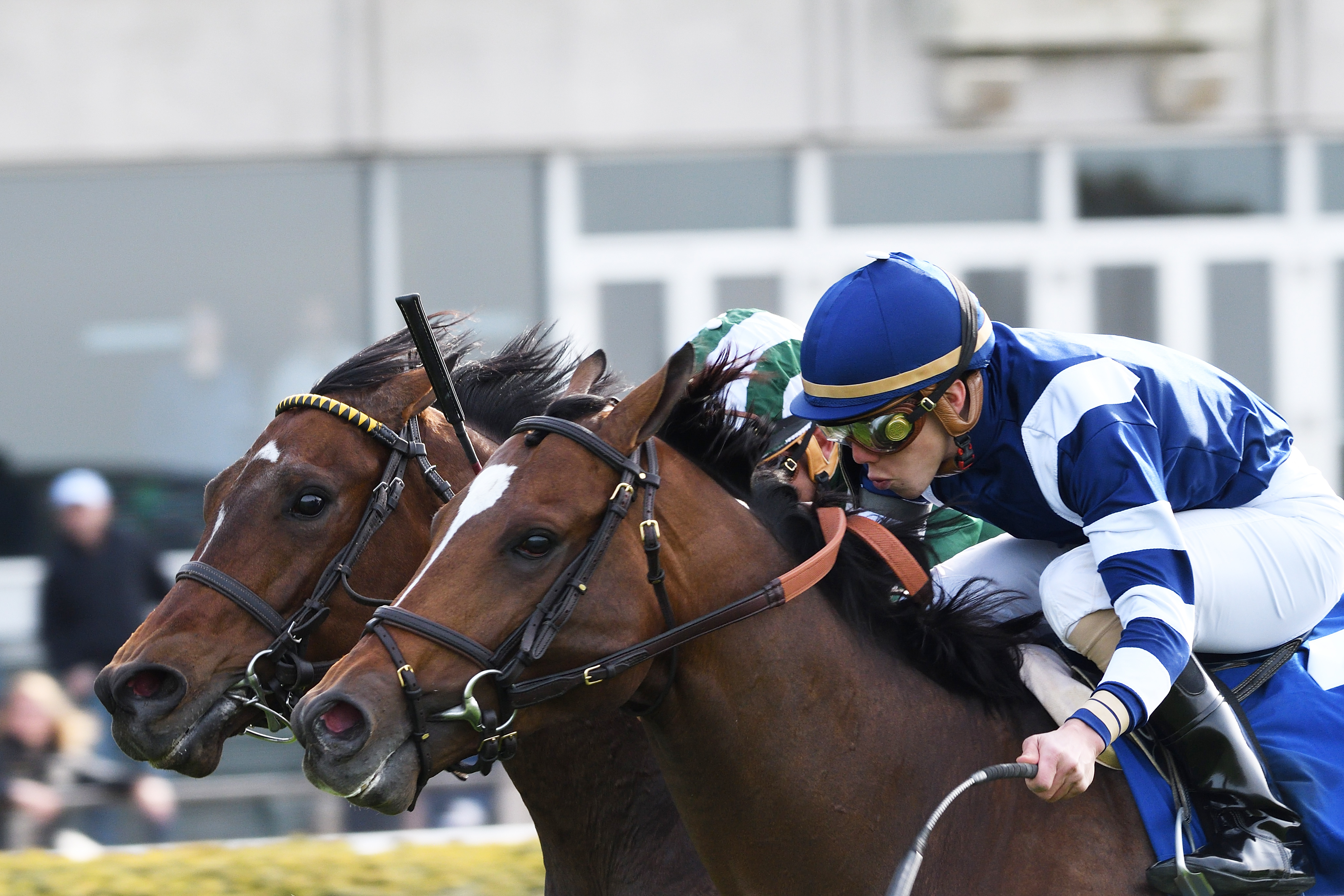 A Lot wins the 2016 Elusive Quality Stakes