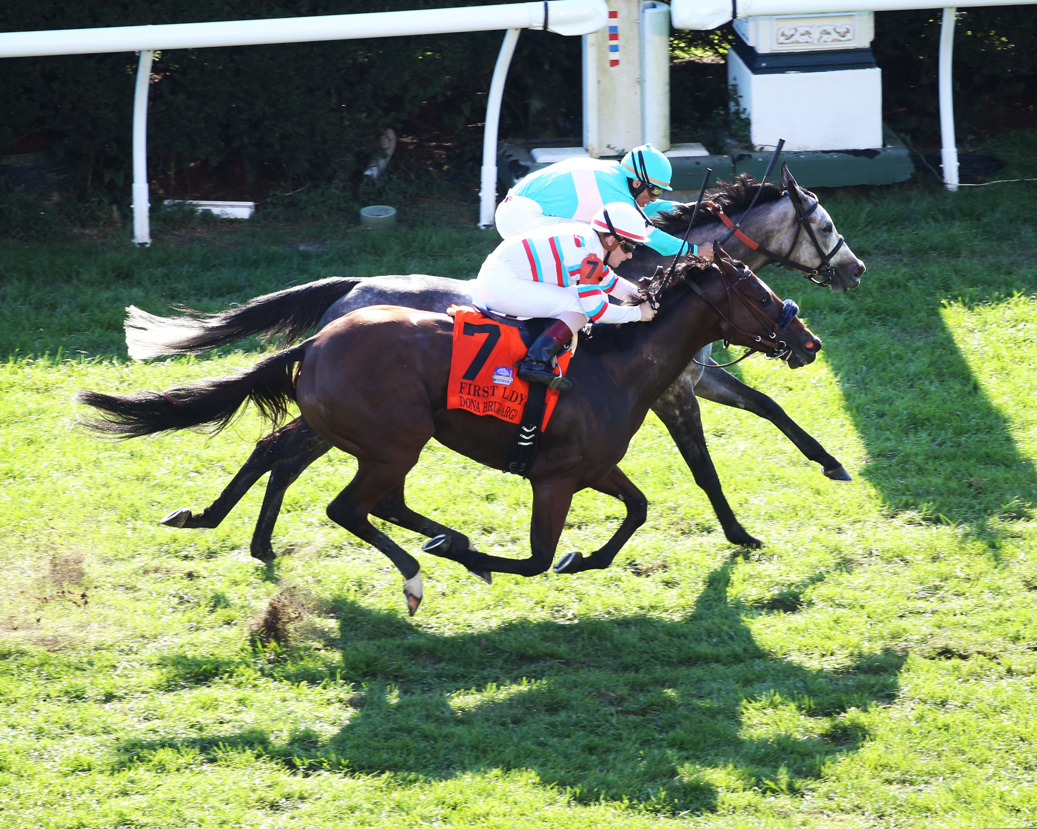 A Raving Beauty (inside) defeats Dona Bruja in the 2018 First Lady