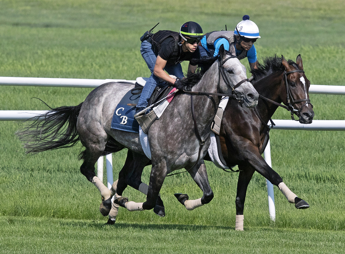 Rushing Fall trains with A Raving Beauty at Saratoga on Aug. 10