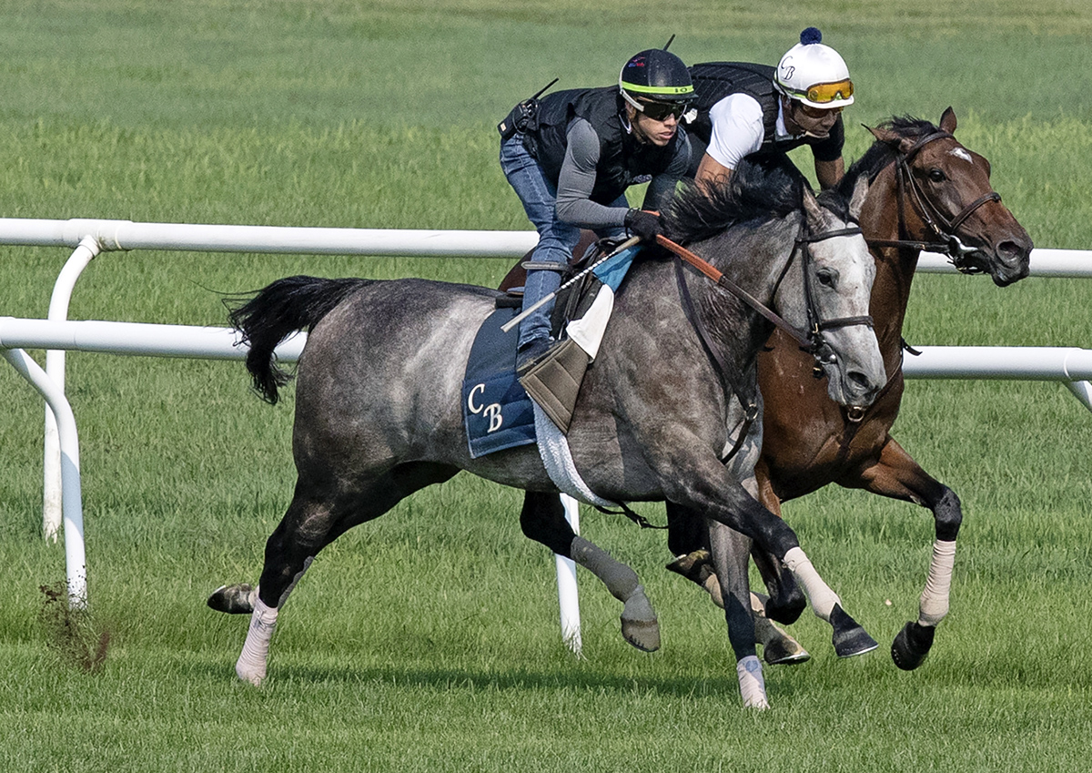 A Raving Beauty and Santa Monica train at Saratoga on Aug. 16