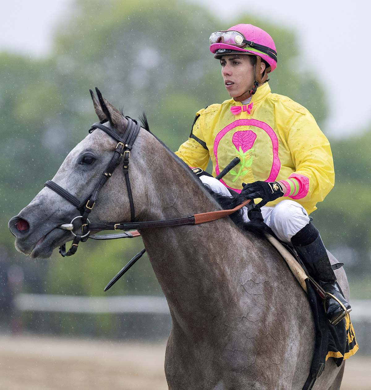 Irad Ortiz Jr. aboard A Raving Beauty