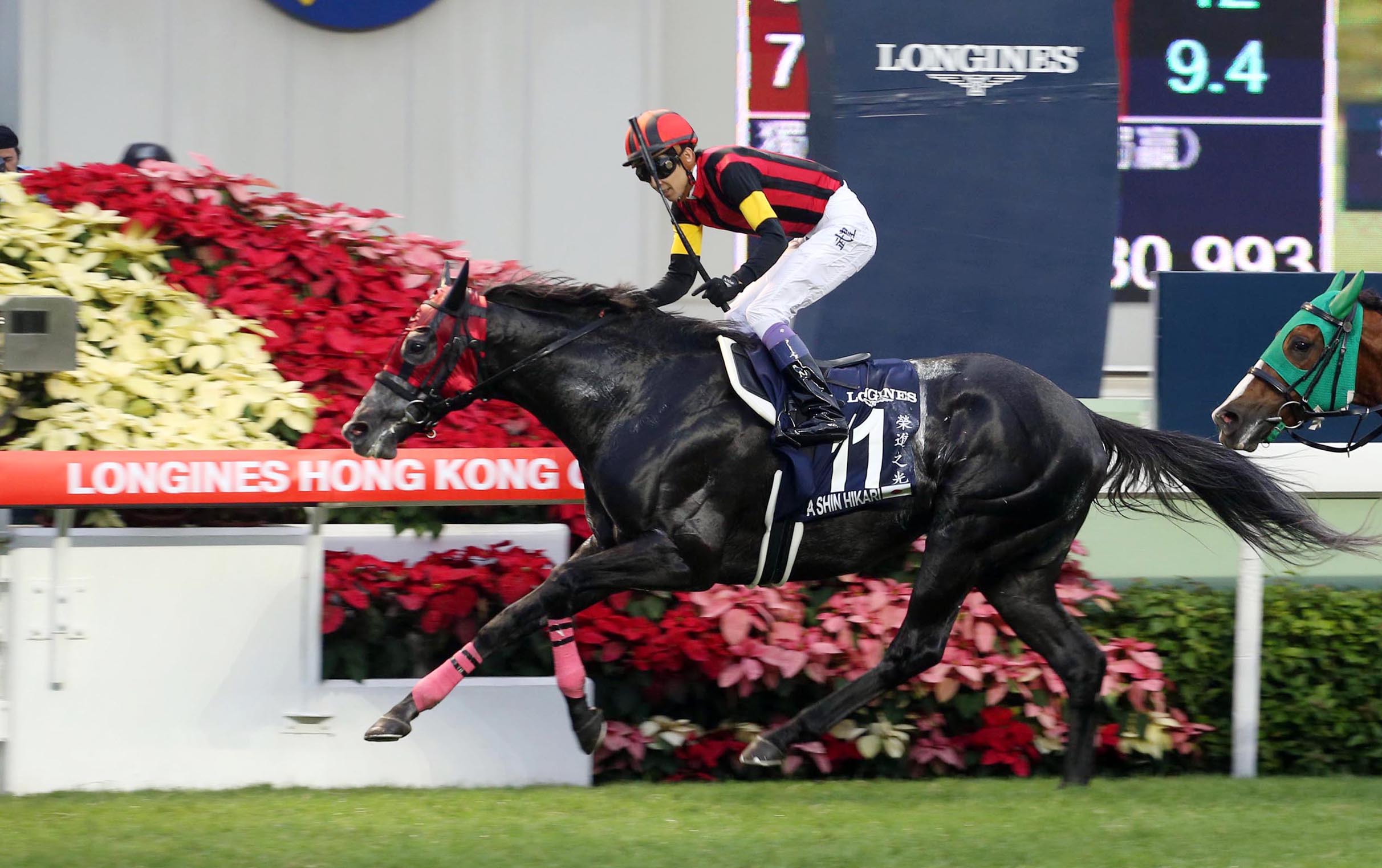 A Shin Hikari wins the 2015 Hong Kong Cup