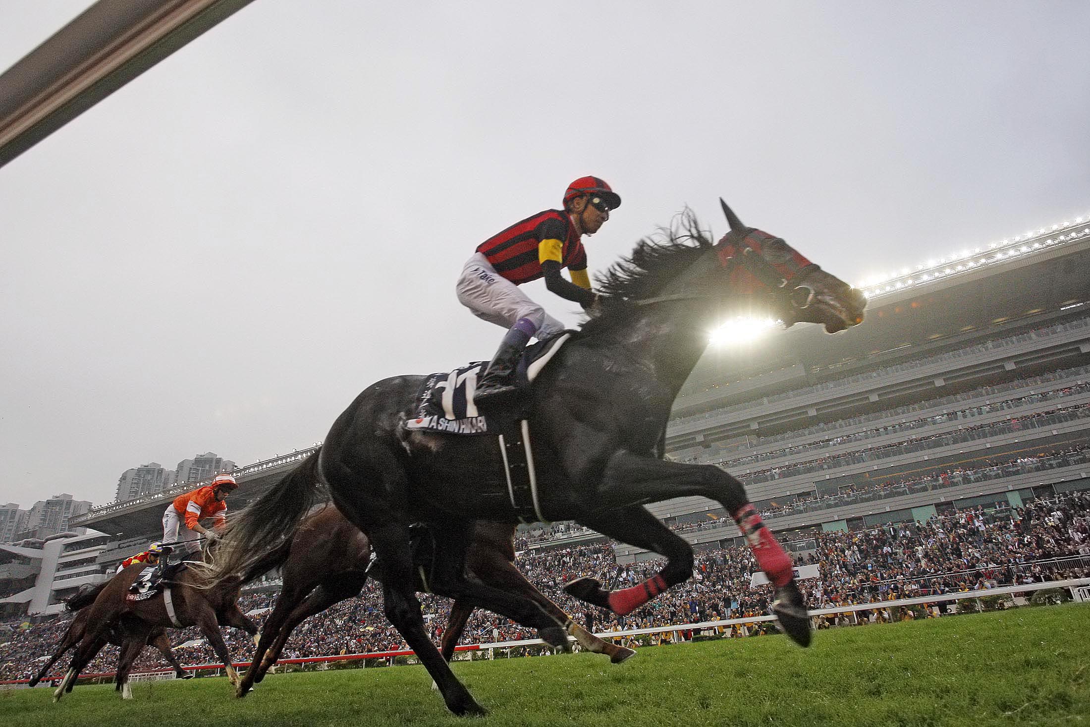 A Shin Hikari wins the Hong Kong Cup