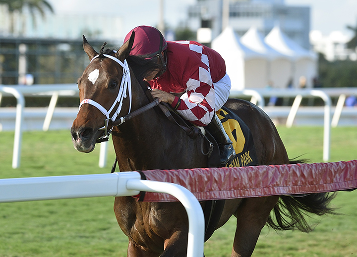 A Thread of Blue wins the Dania Beach Stakes
