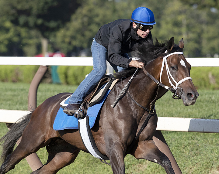 A Thread of Blue trains at Saratoga Race Course on Aug. 30